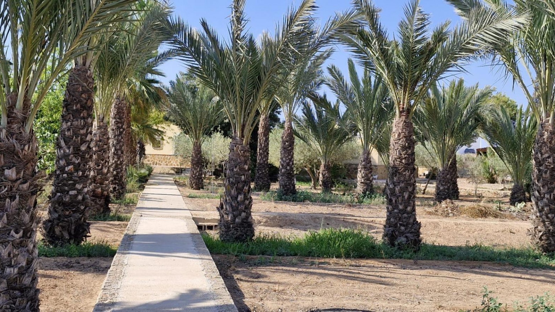 Sale - Finca Country Property -
Elche