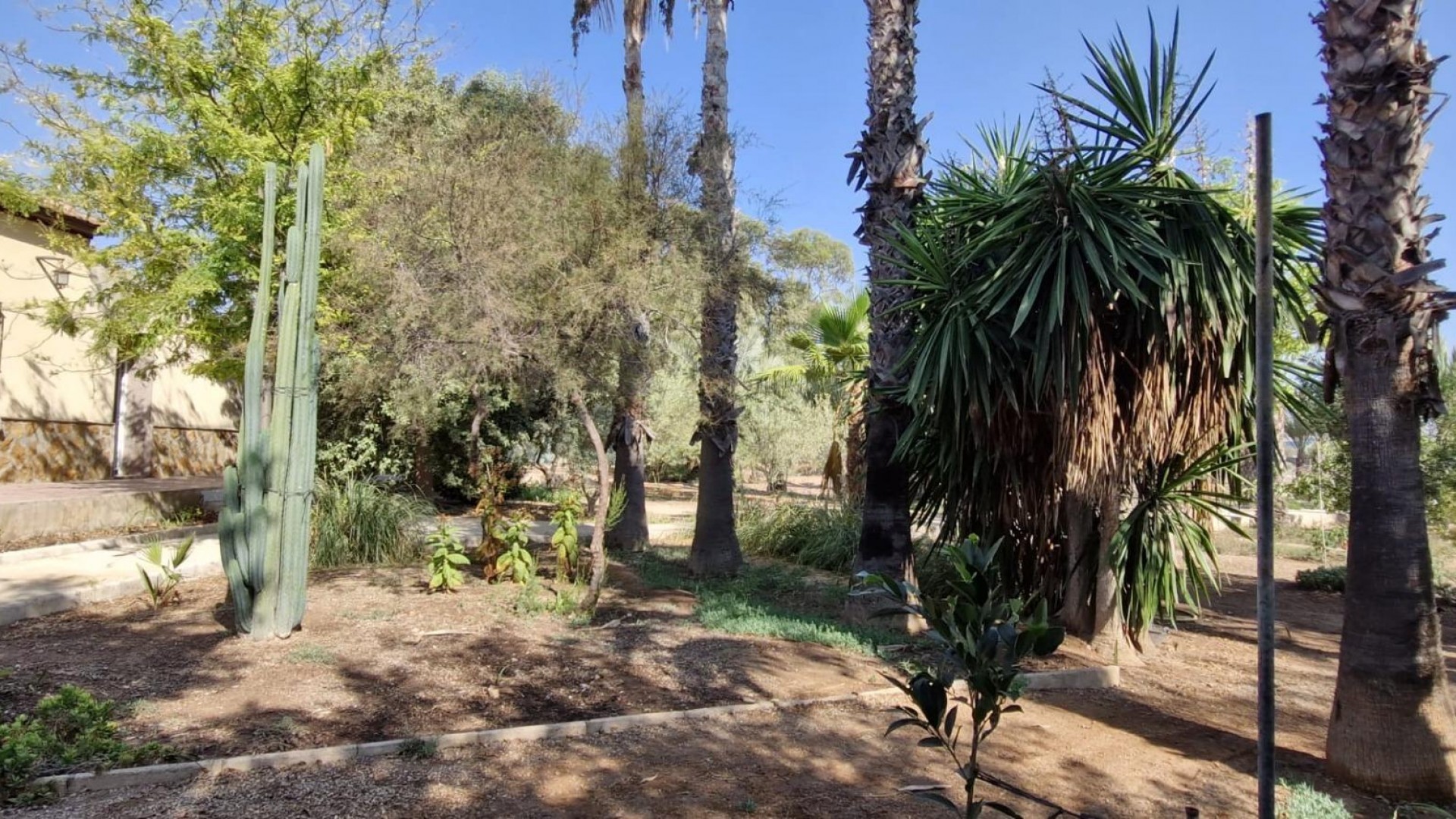 Sale - Finca Country Property -
Elche