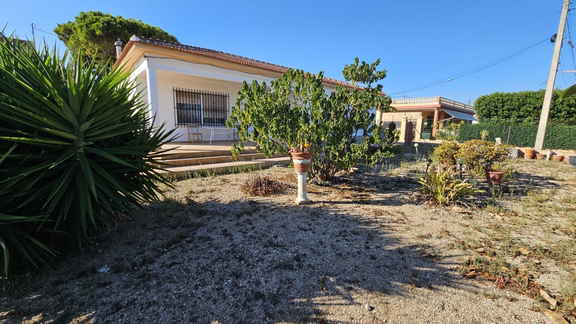 Sale - Finca Country Property -
Guardamar del Segura - Buenavista