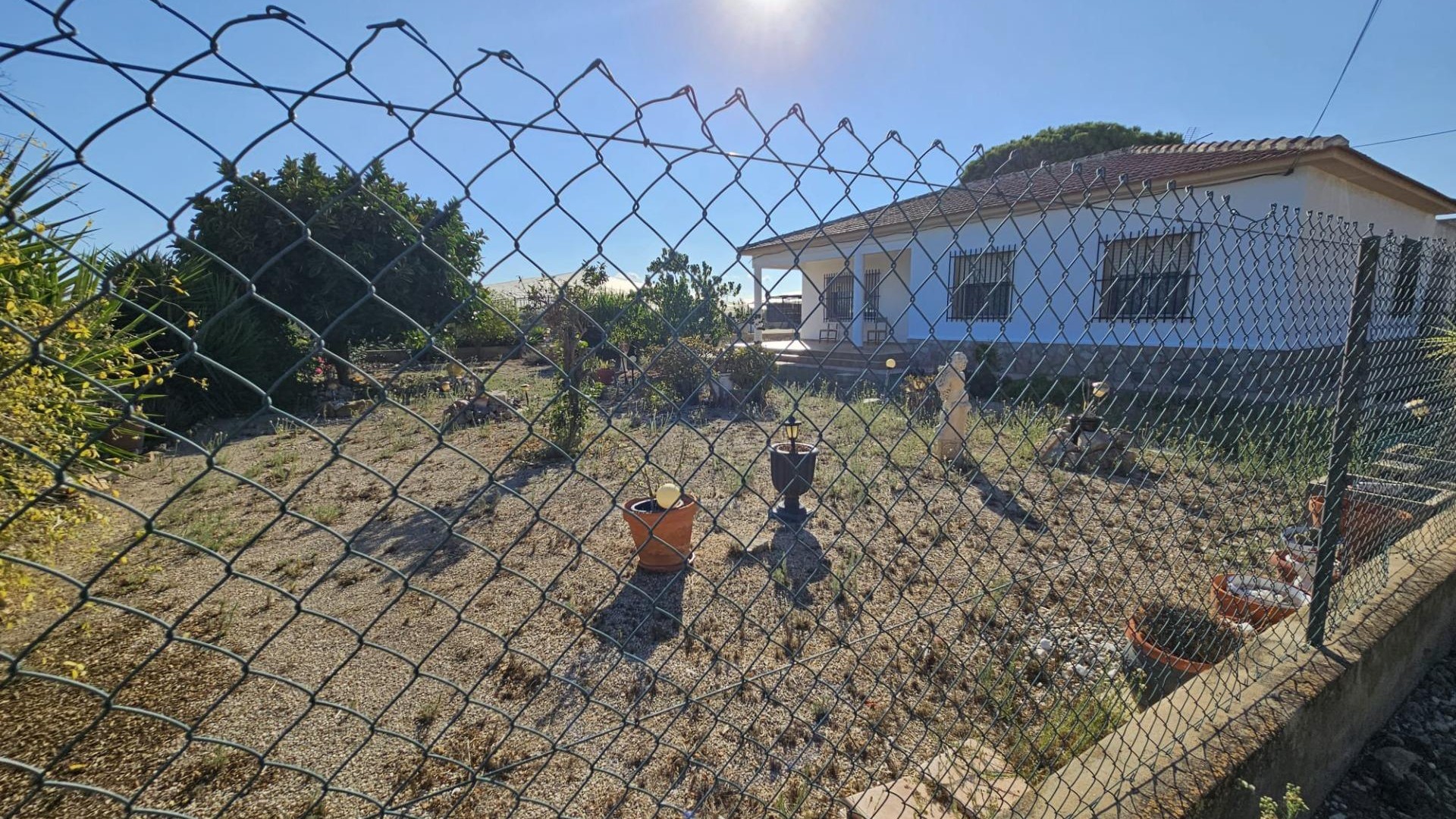 Sale - Finca Country Property -
Guardamar del Segura - Buenavista