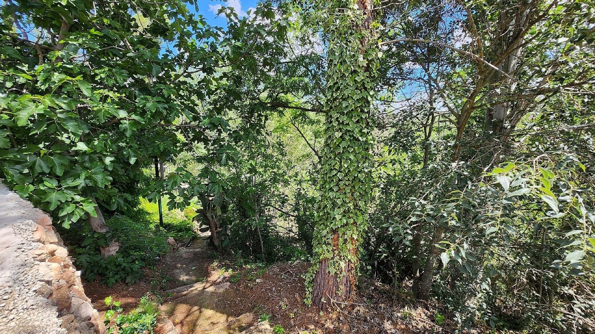 Sale - Finca Country Property -
Jalance