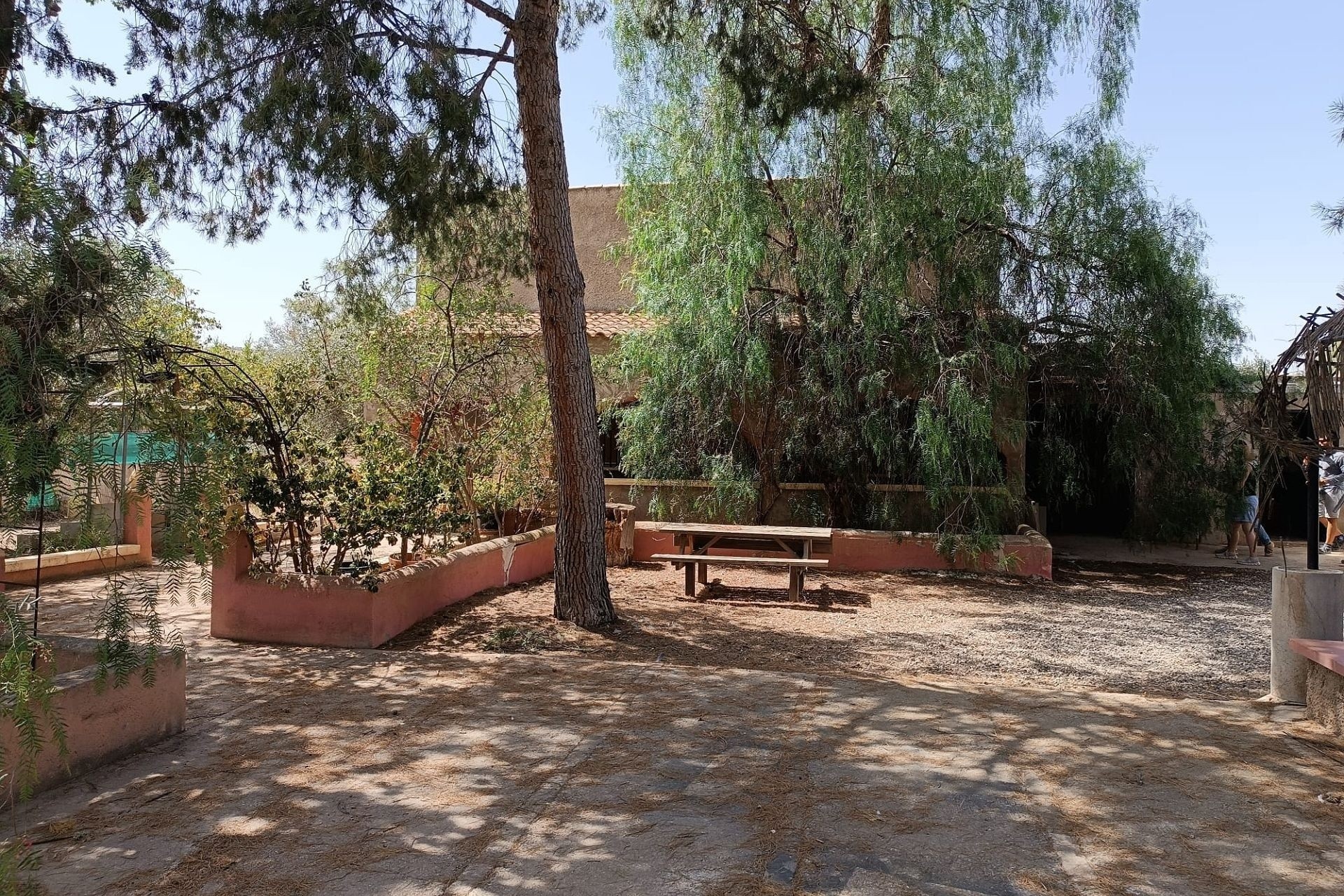 Sale - Finca Country Property -
Jumilla