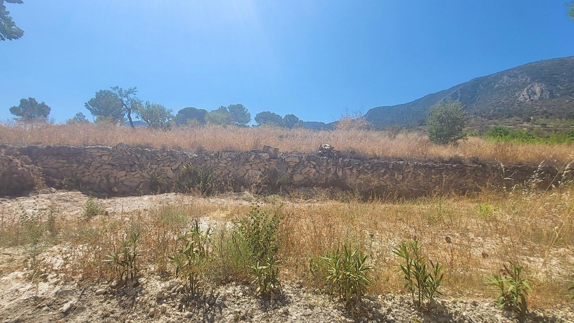 Sale - Finca Country Property -
La Romana