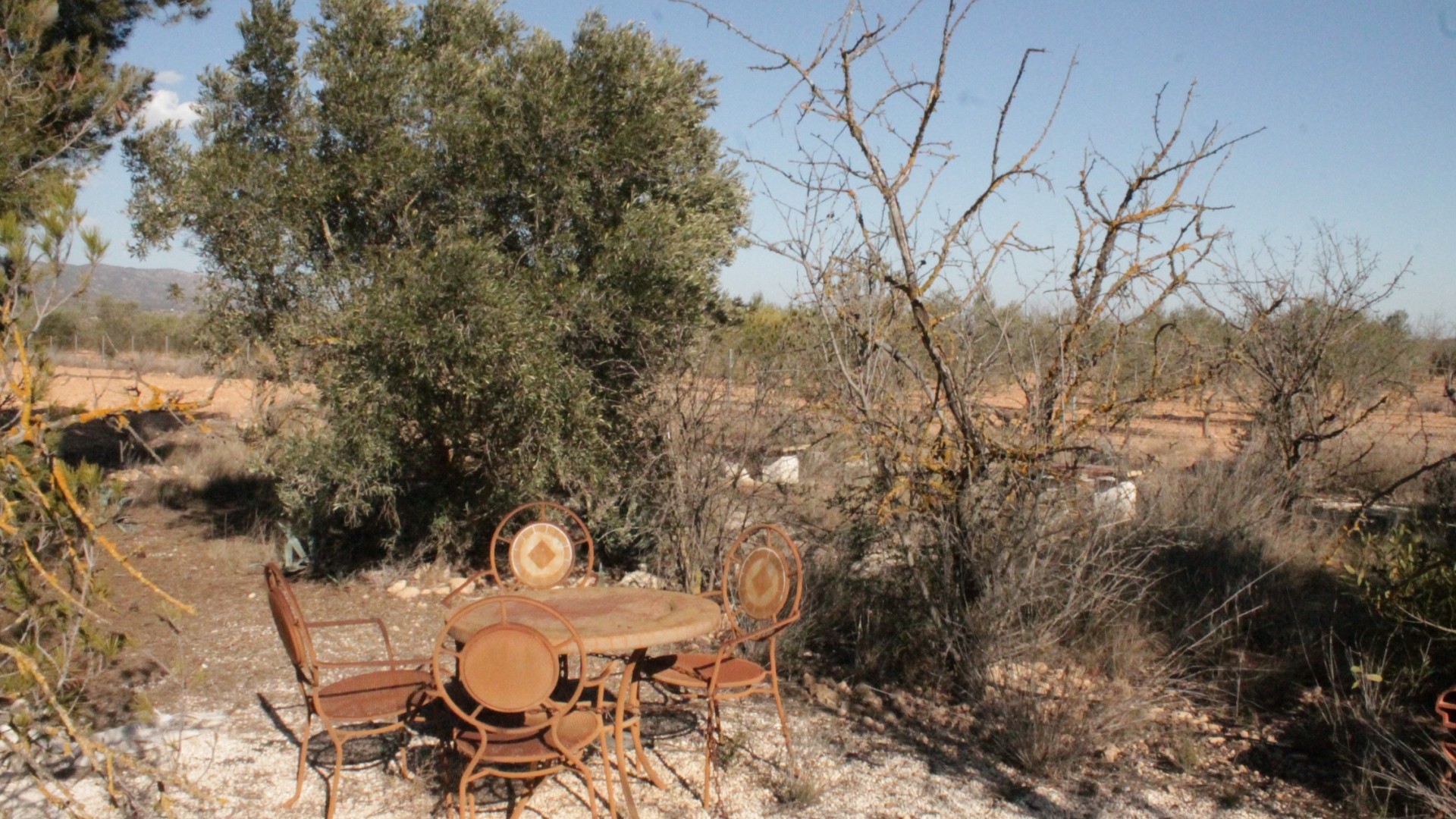 Sale - Finca Country Property -
Lel - Lel Alicante