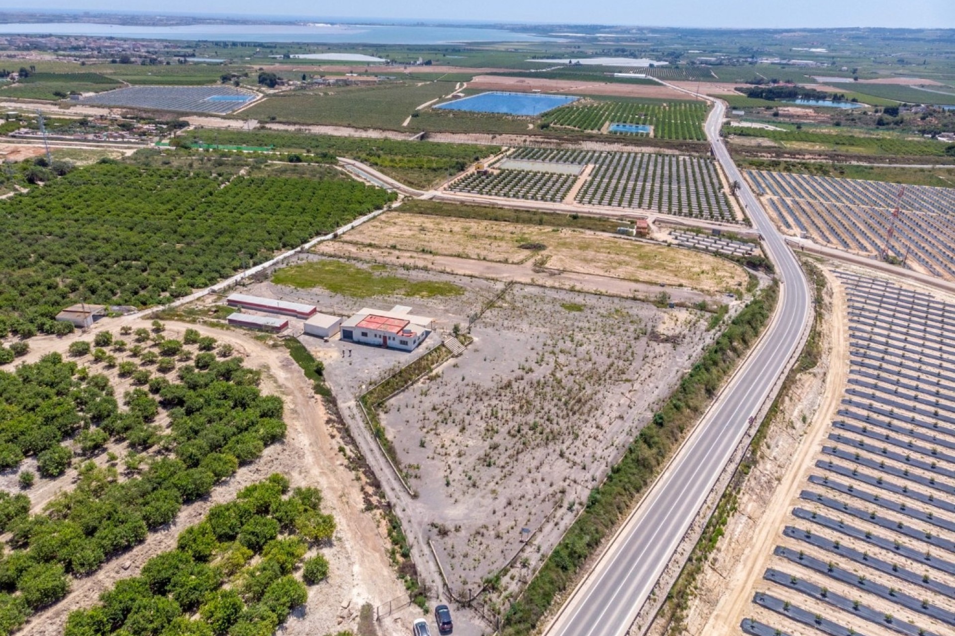 Sale - Finca Country Property -
Los Montesinos - LOS MONTESINOS