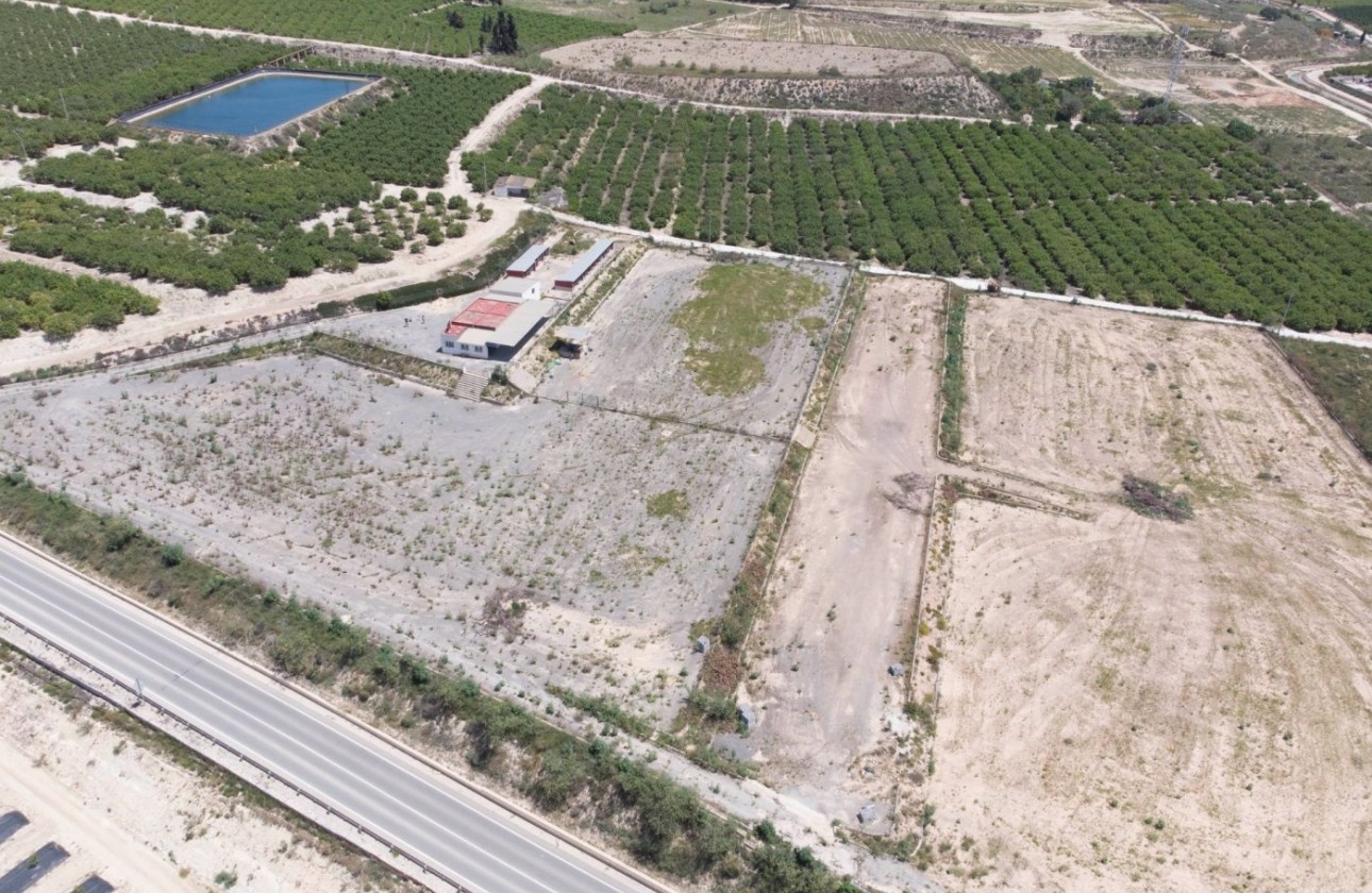 Sale - Finca Country Property -
Los Montesinos - LOS MONTESINOS
