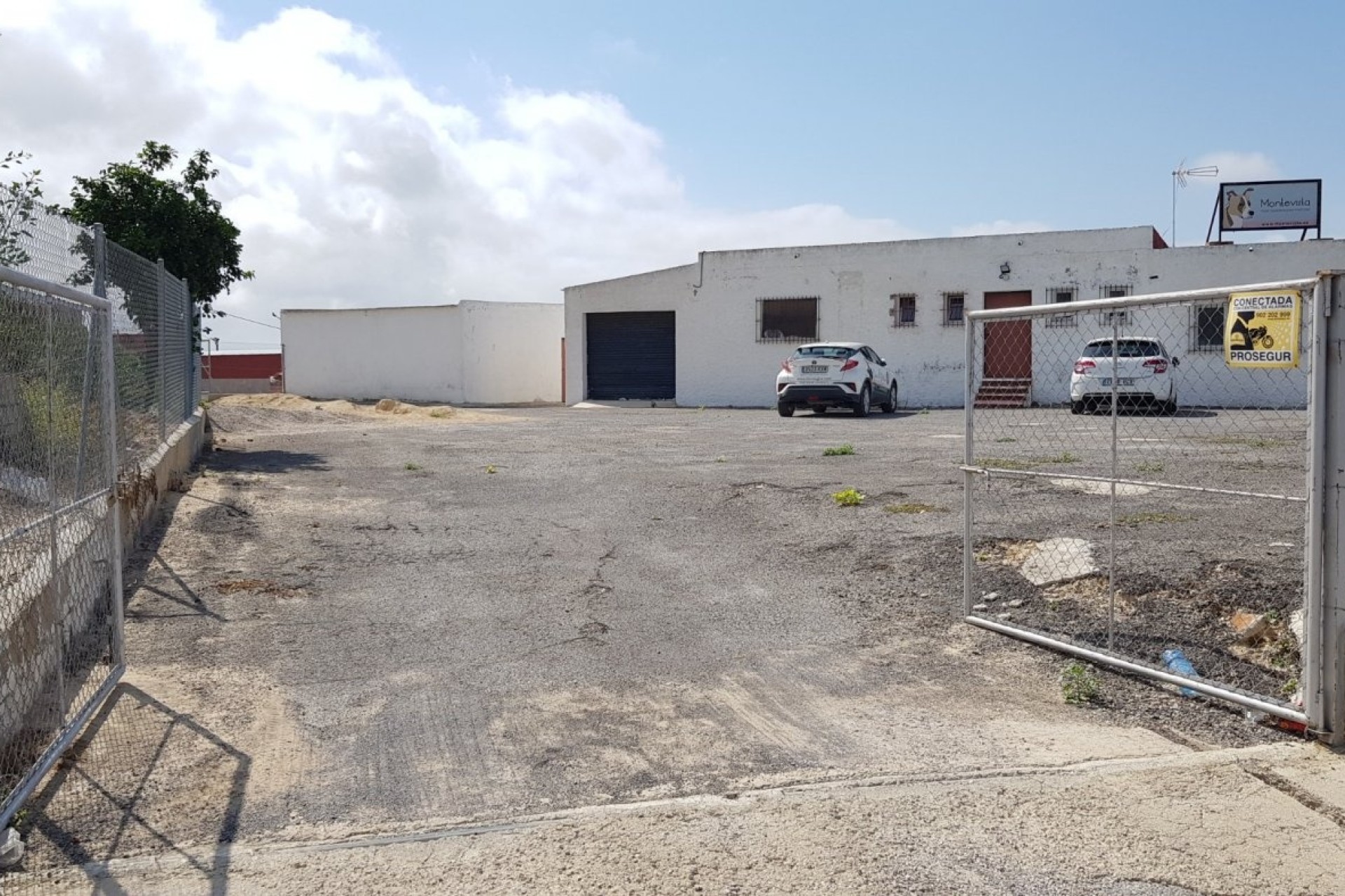 Sale - Finca Country Property -
Los Montesinos - LOS MONTESINOS