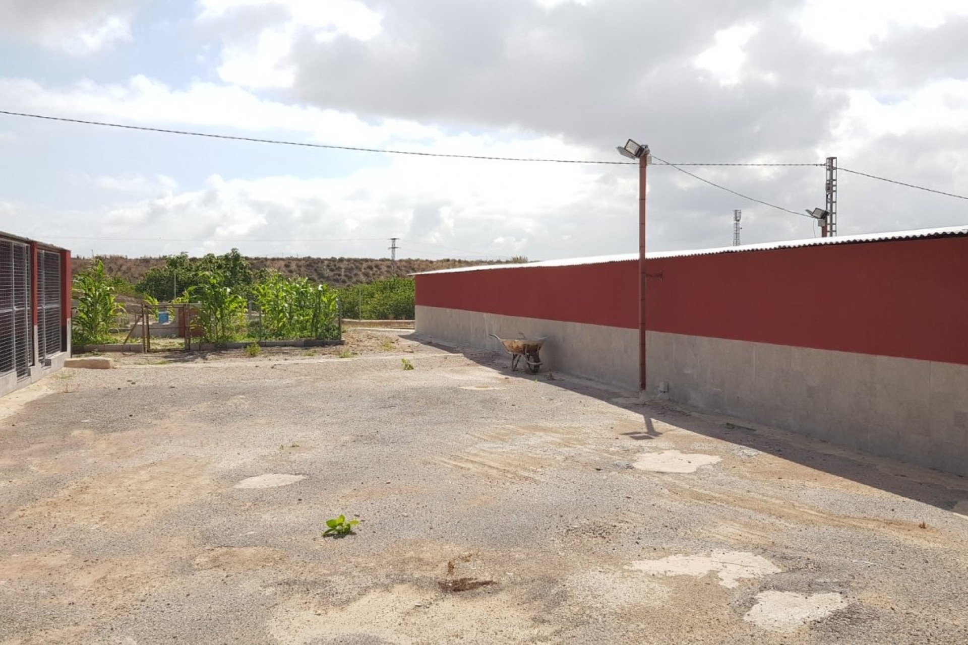 Sale - Finca Country Property -
Los Montesinos - LOS MONTESINOS