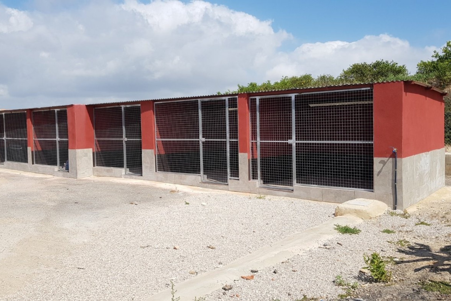 Sale - Finca Country Property -
Los Montesinos - LOS MONTESINOS