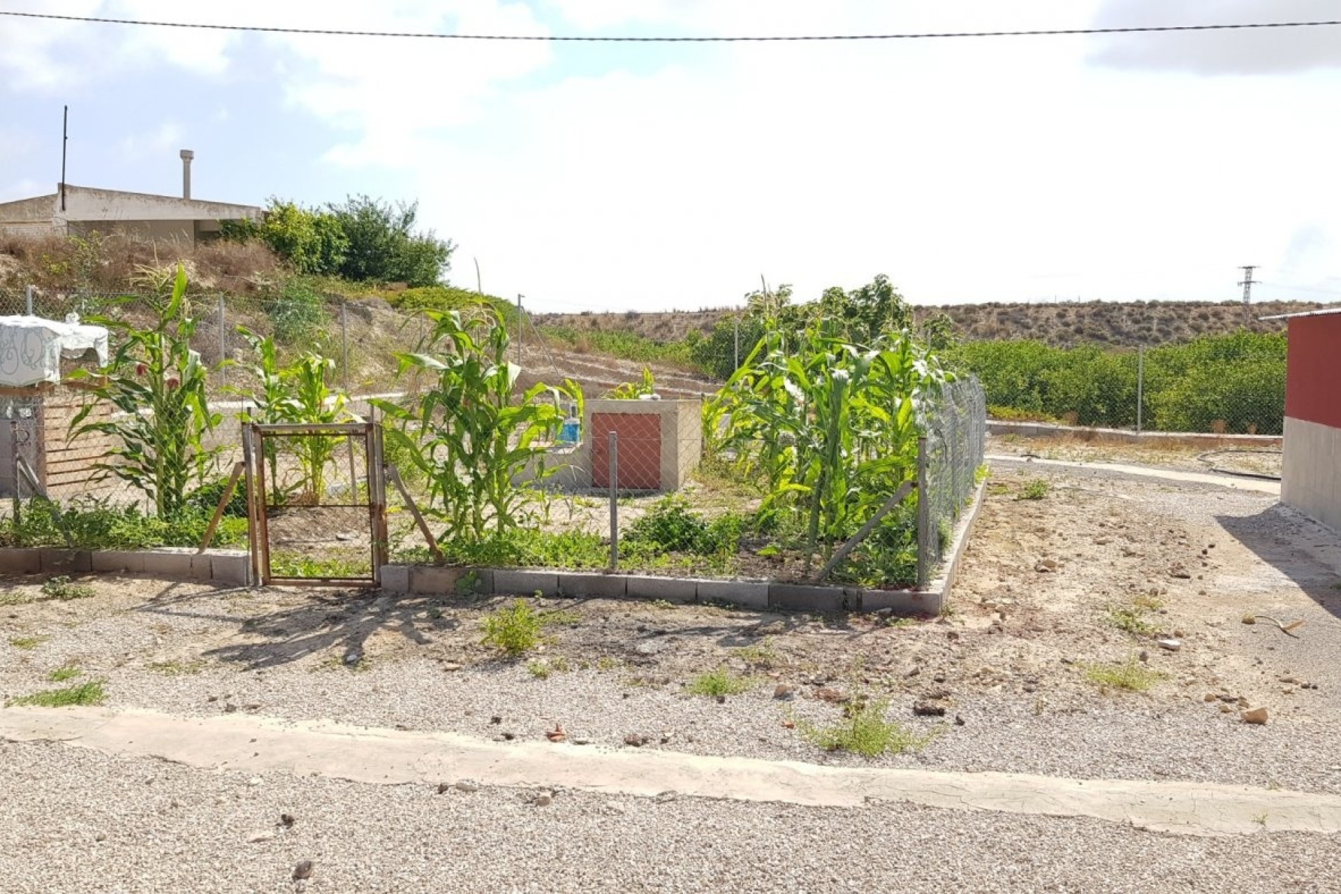 Sale - Finca Country Property -
Los Montesinos - LOS MONTESINOS