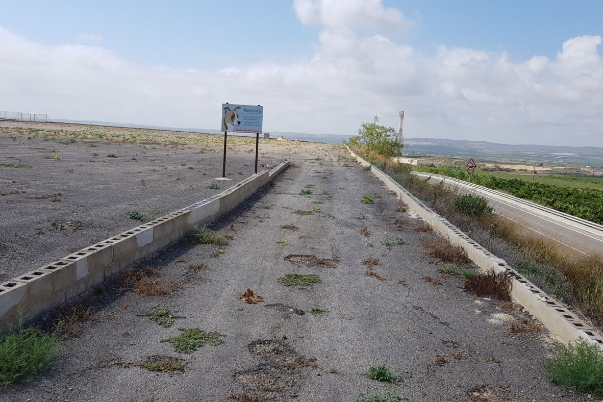 Sale - Finca Country Property -
Los Montesinos - LOS MONTESINOS