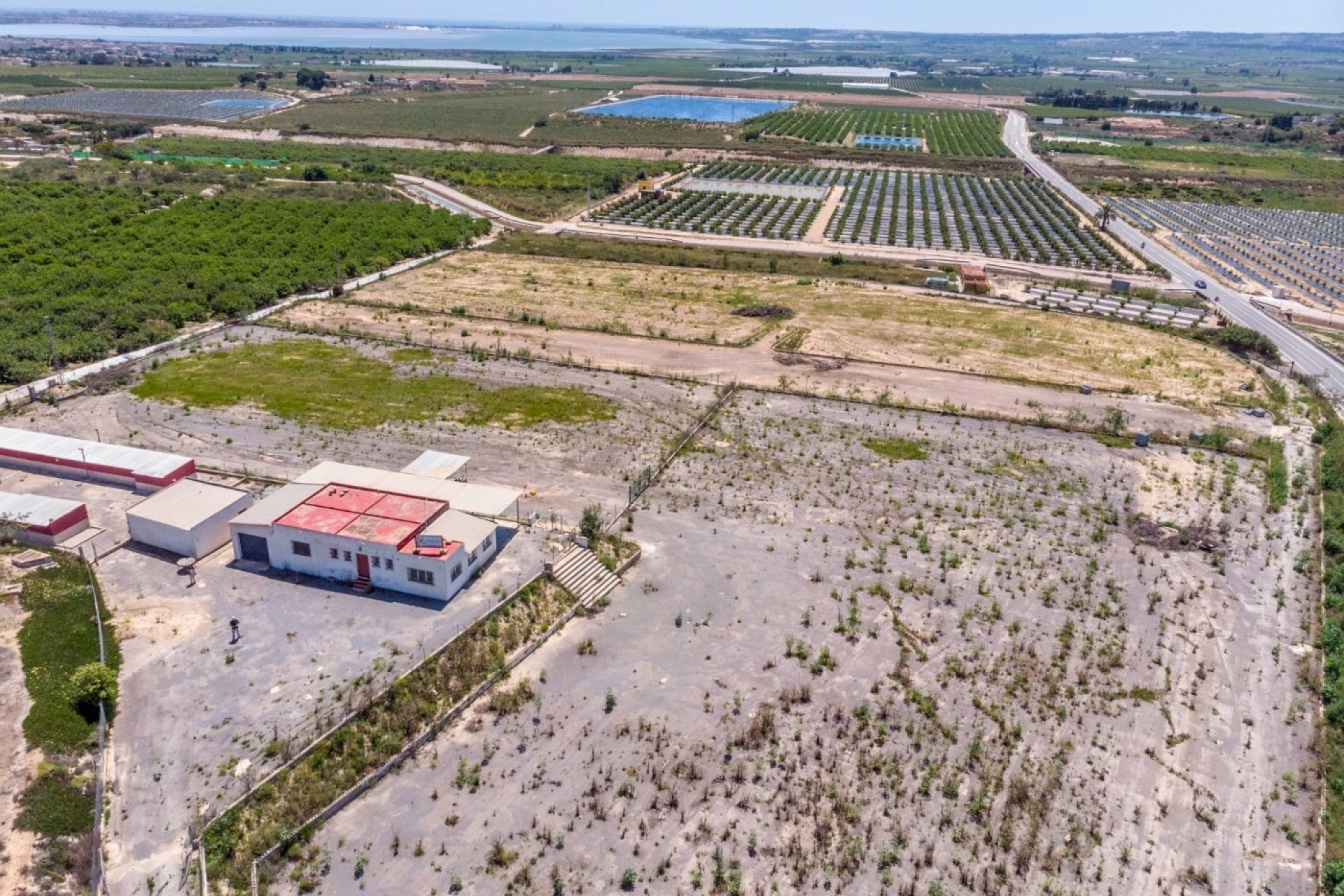 Sale - Finca Country Property -
Los Montesinos - LOS MONTESINOS
