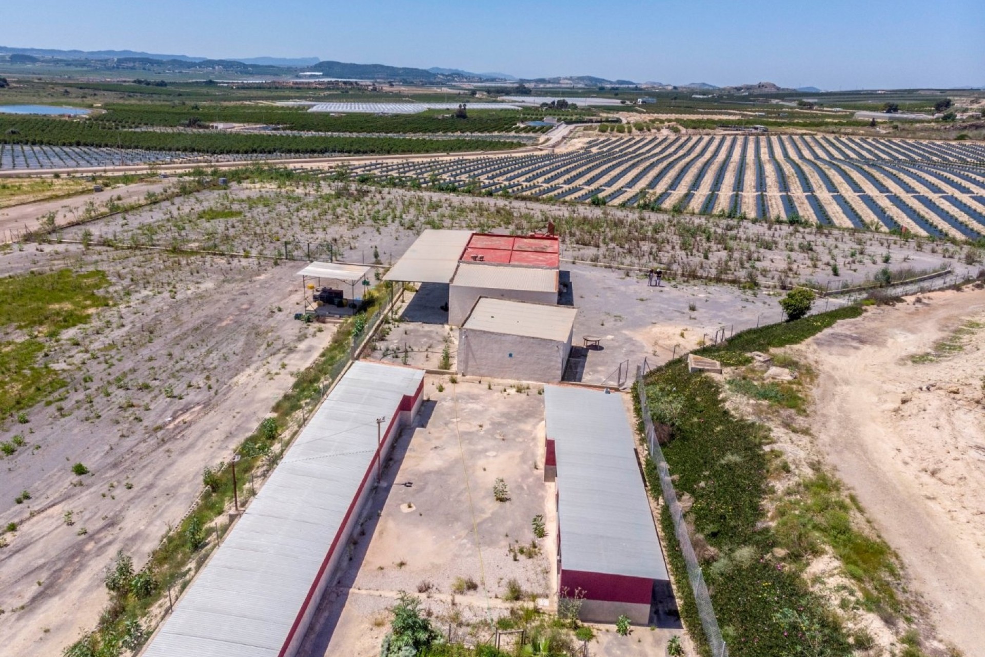 Sale - Finca Country Property -
Los Montesinos - LOS MONTESINOS