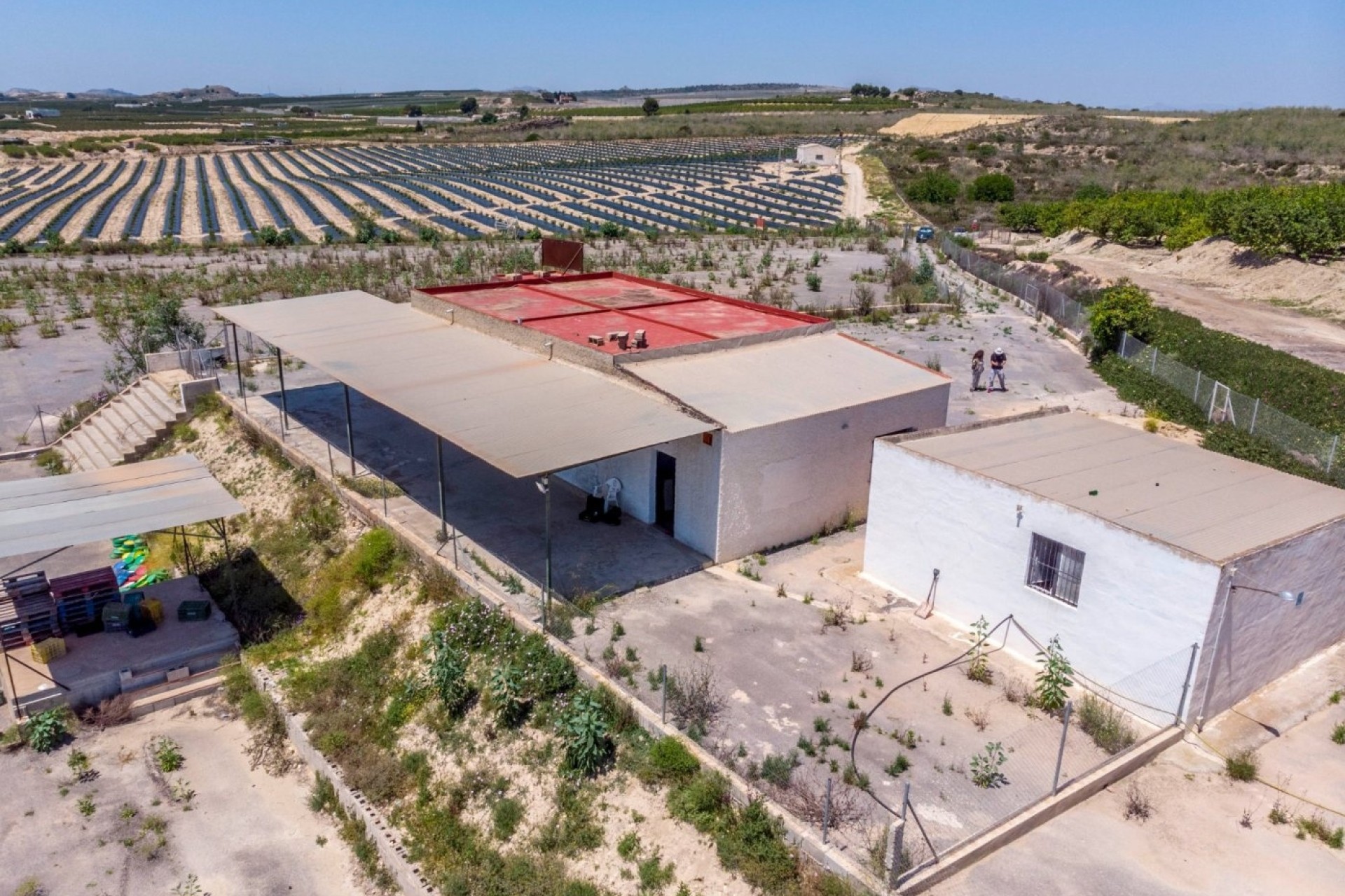 Sale - Finca Country Property -
Los Montesinos - LOS MONTESINOS