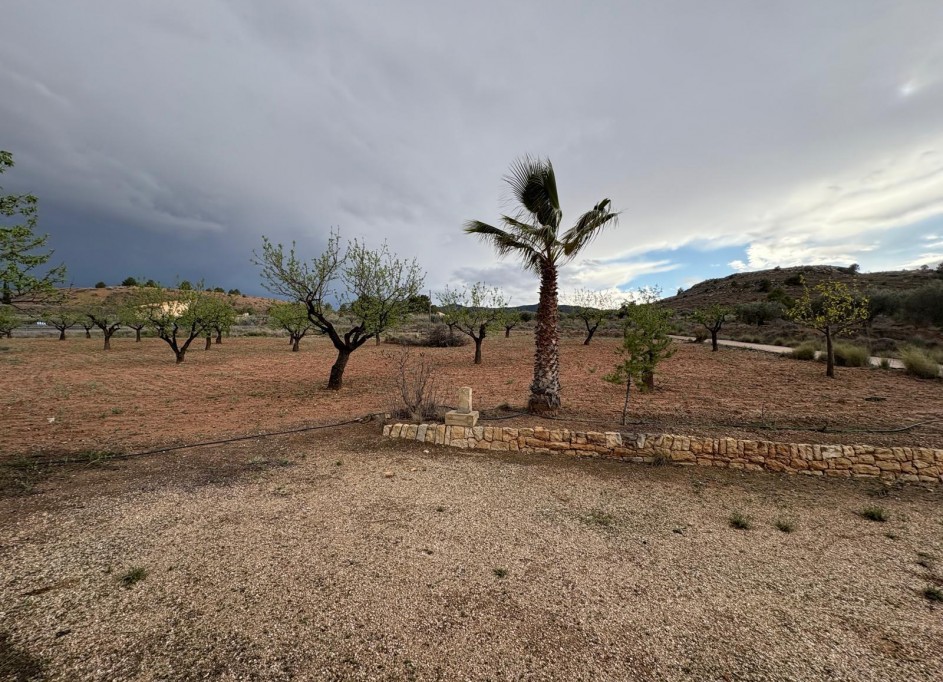 Sale - Finca Country Property -
Monóvar