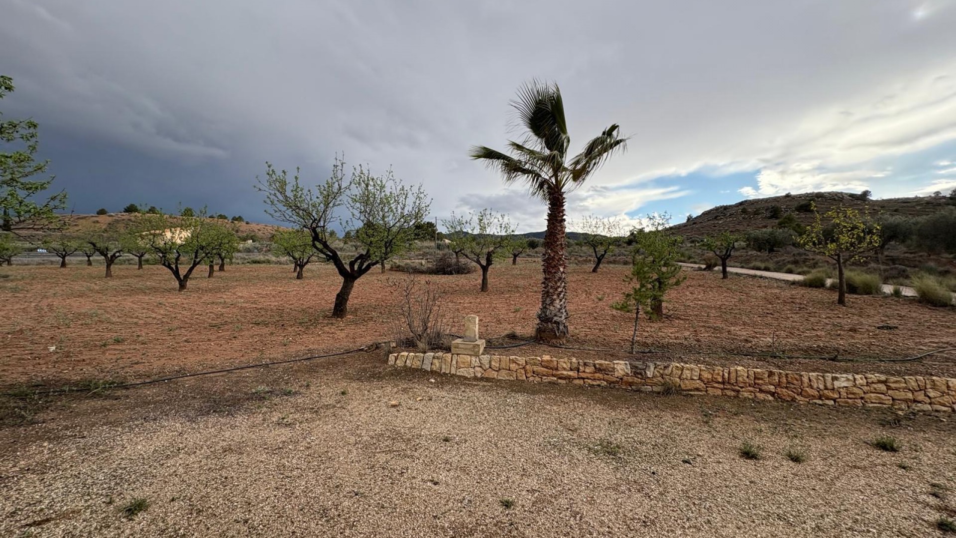 Sale - Finca Country Property -
Monóvar