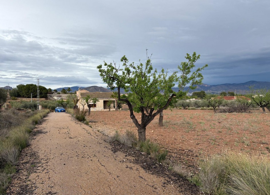 Sale - Finca Country Property -
Monóvar