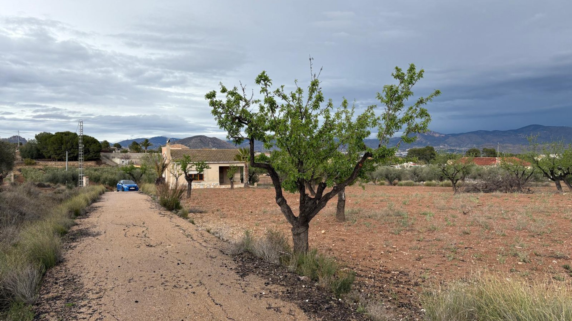 Sale - Finca Country Property -
Monóvar