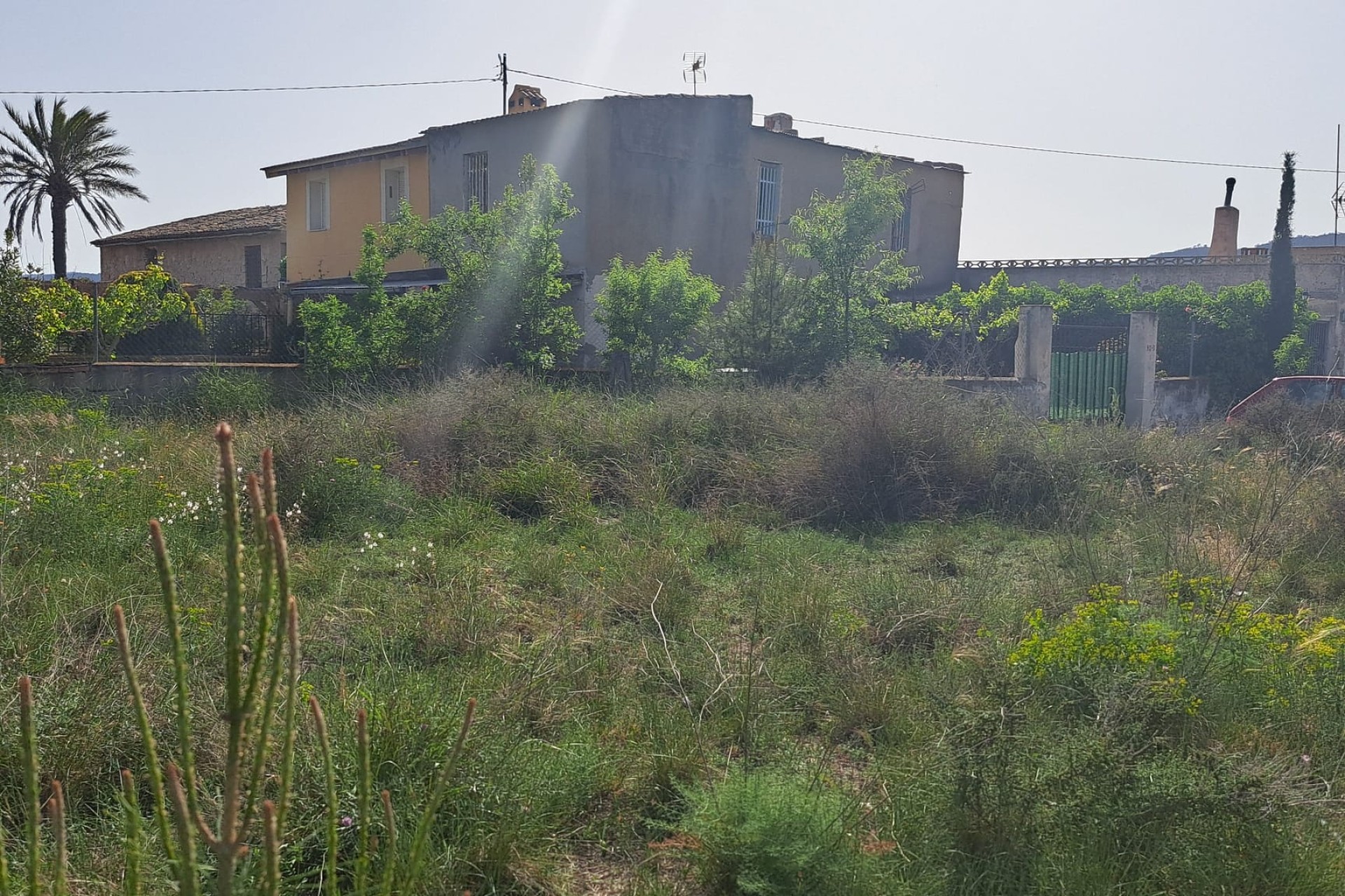 Sale - Finca Country Property -
Monóvar