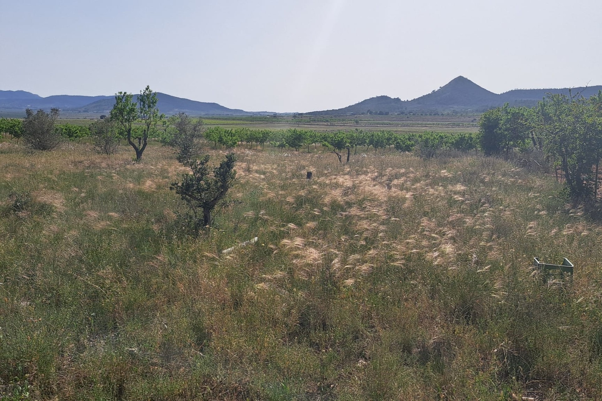 Sale - Finca Country Property -
Monóvar