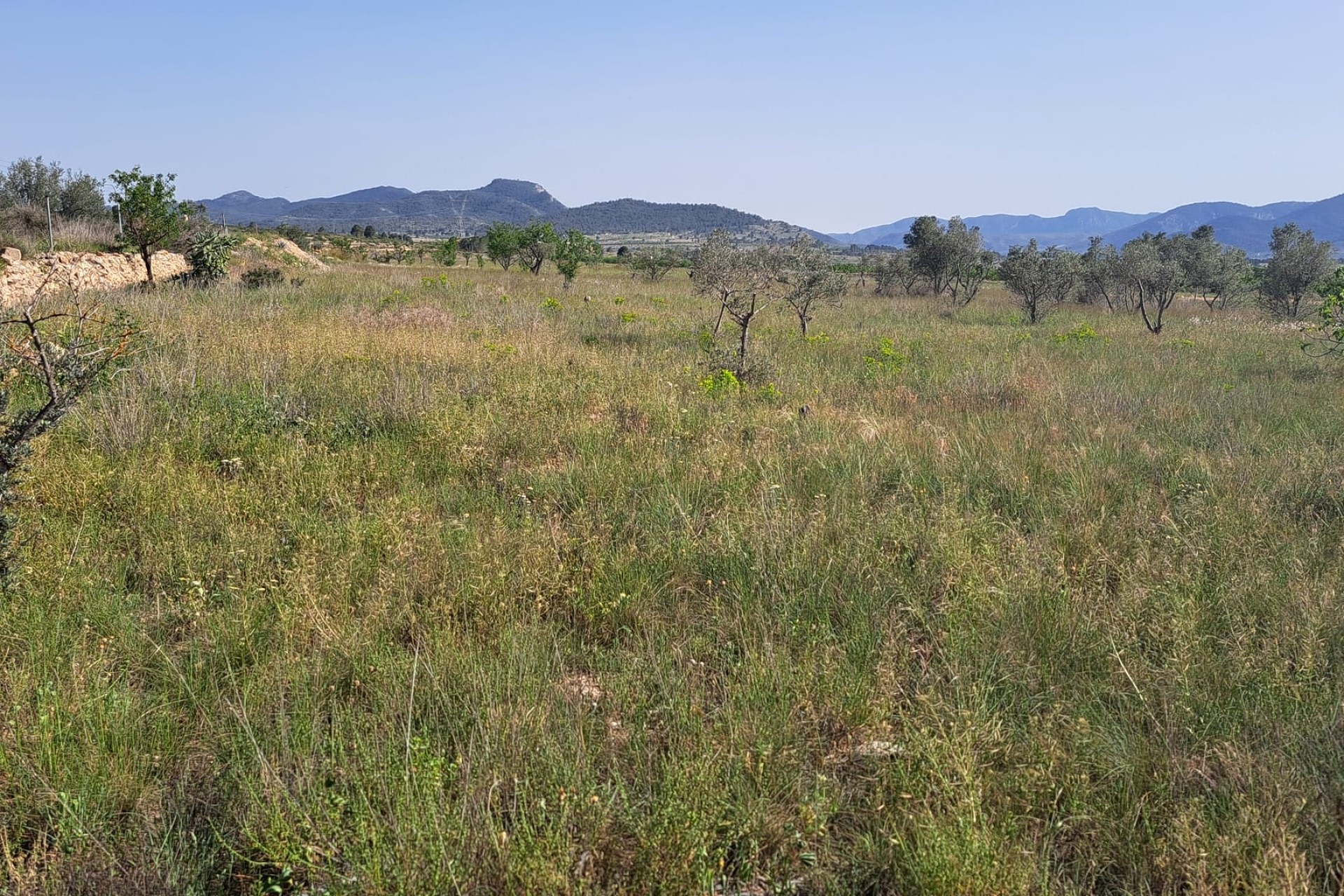 Sale - Finca Country Property -
Monóvar