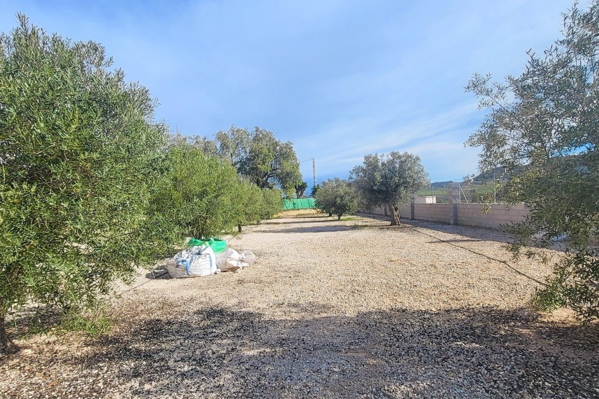 Sale - Finca Country Property -
Monóvar