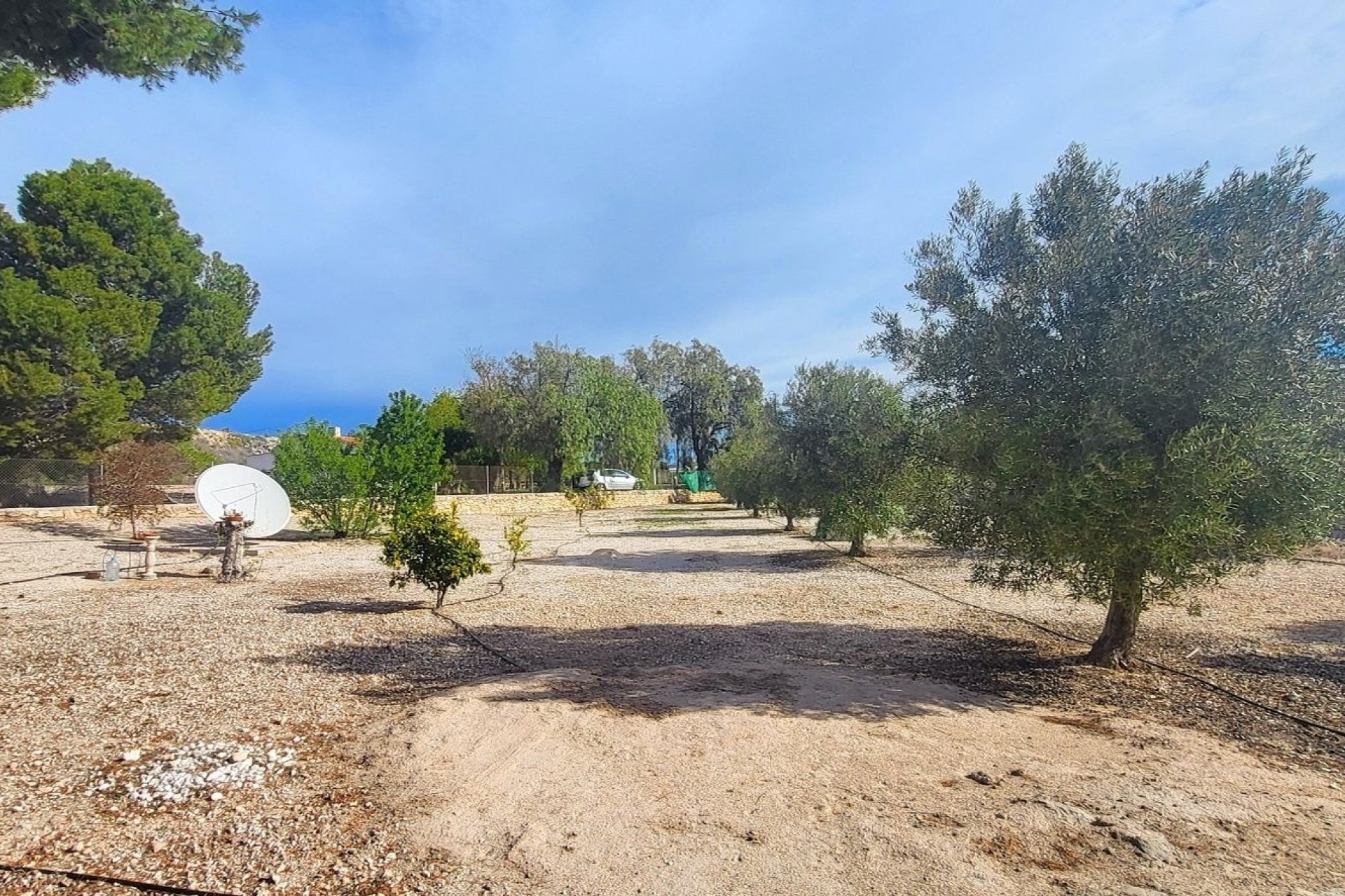 Sale - Finca Country Property -
Monóvar