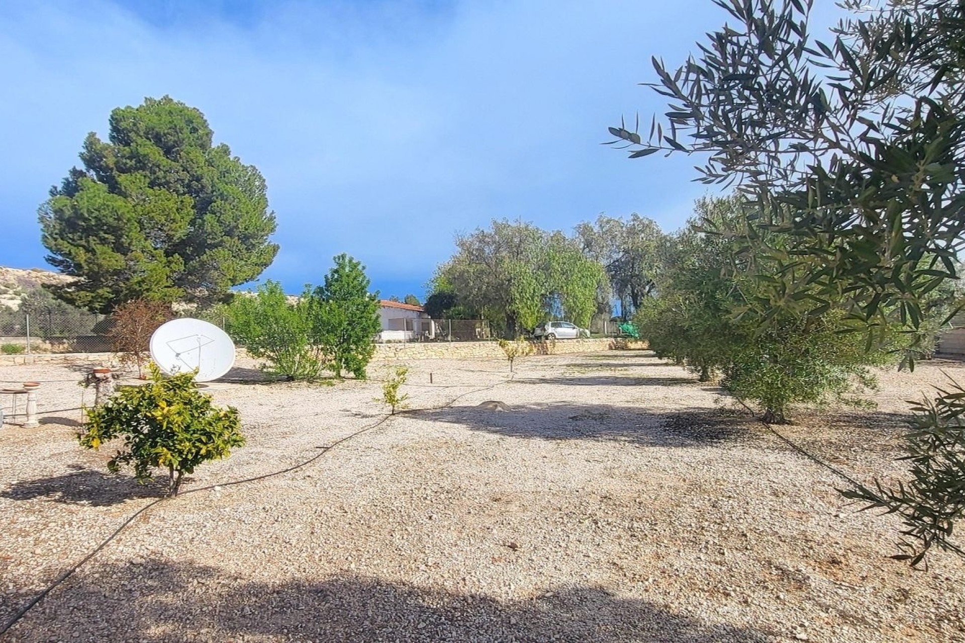 Sale - Finca Country Property -
Monóvar