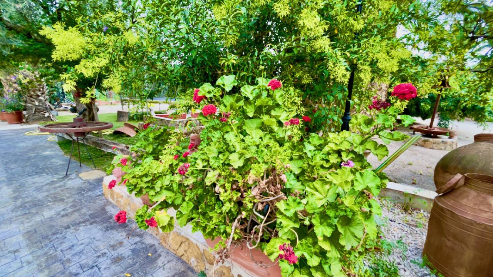 Sale - Finca Country Property -
Orihuela