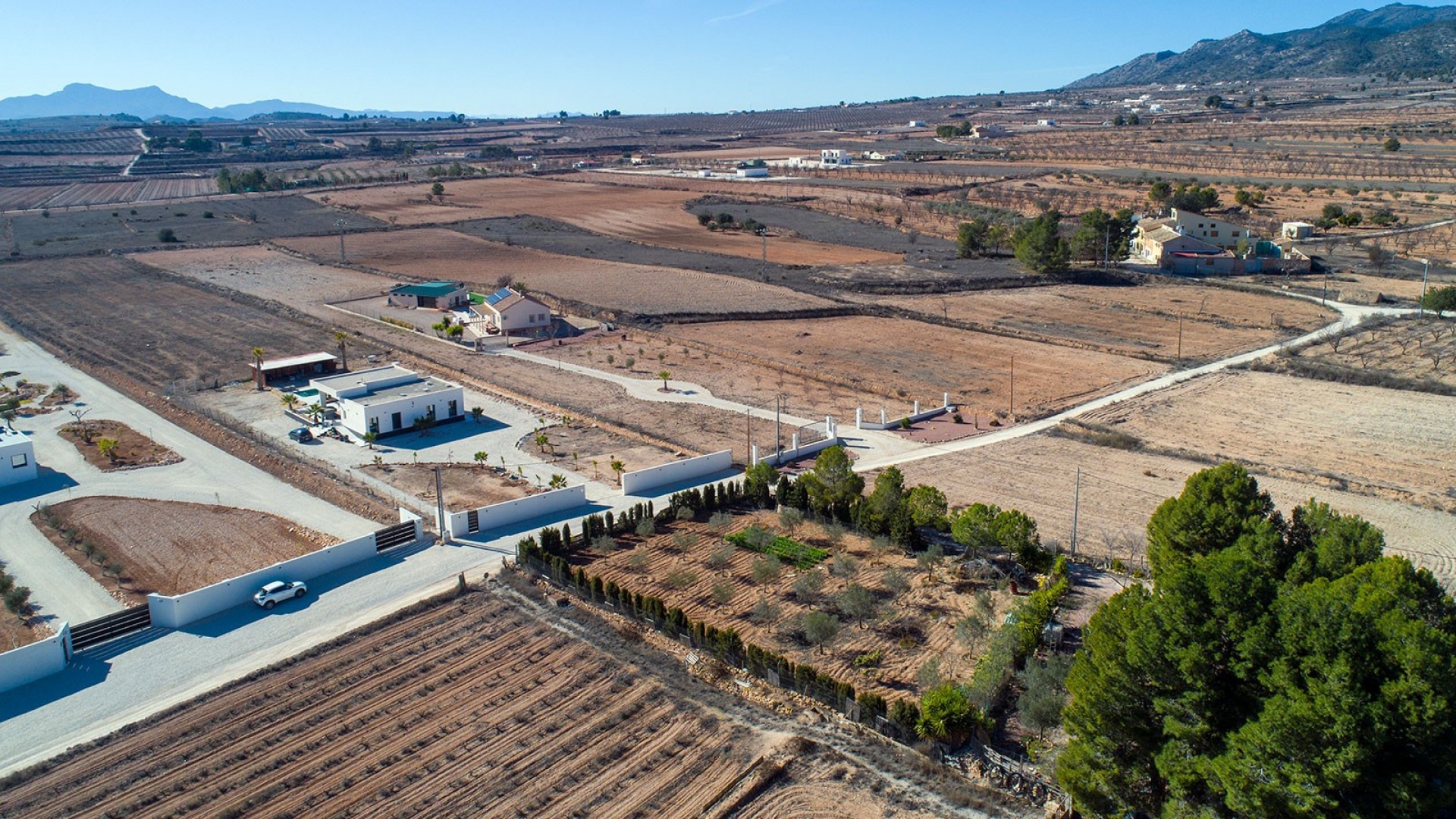 Sale - Finca Country Property -
Pinoso - Campo