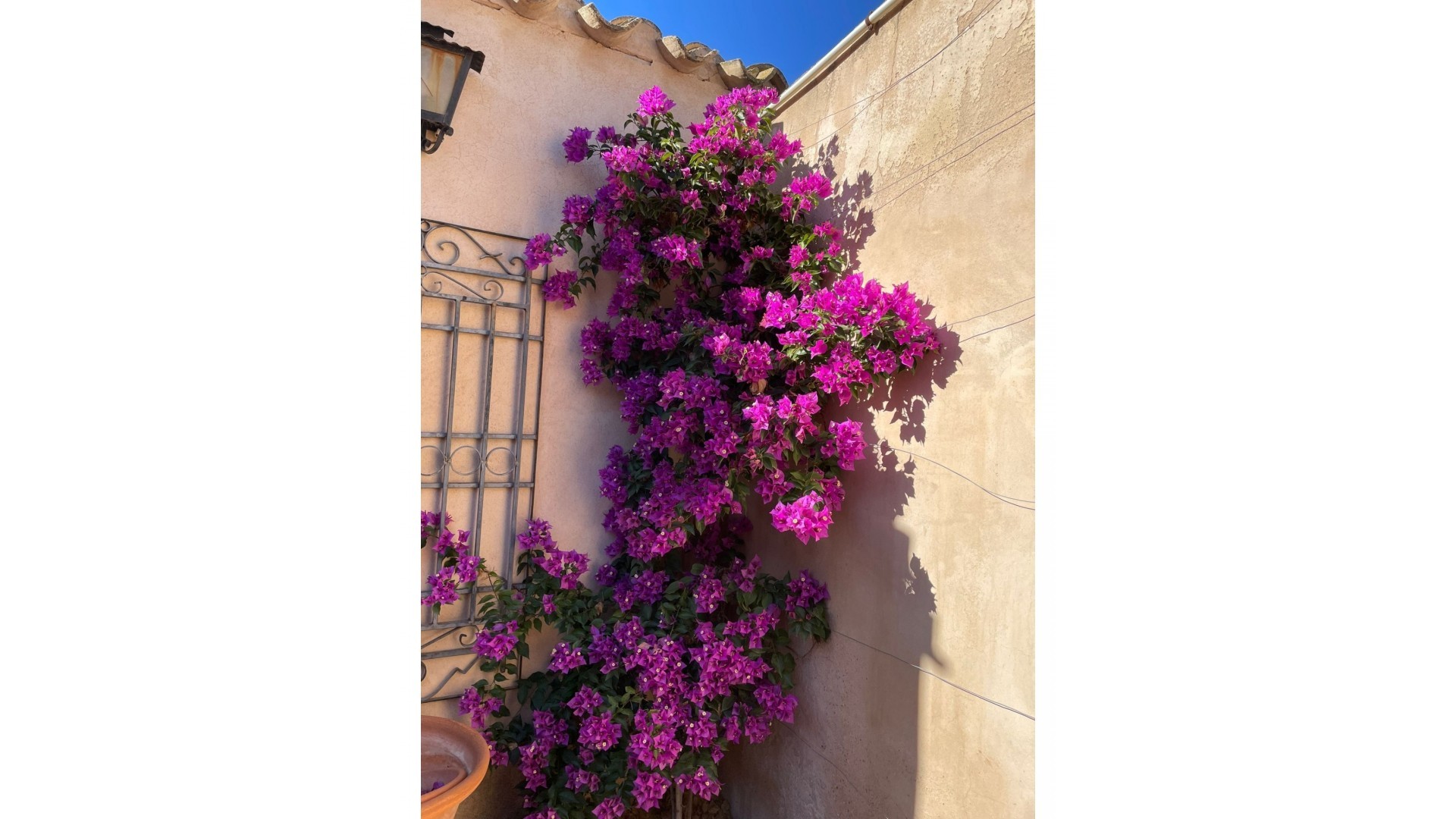 Sale - Finca Country Property -
Raspay - Raspay Murcia