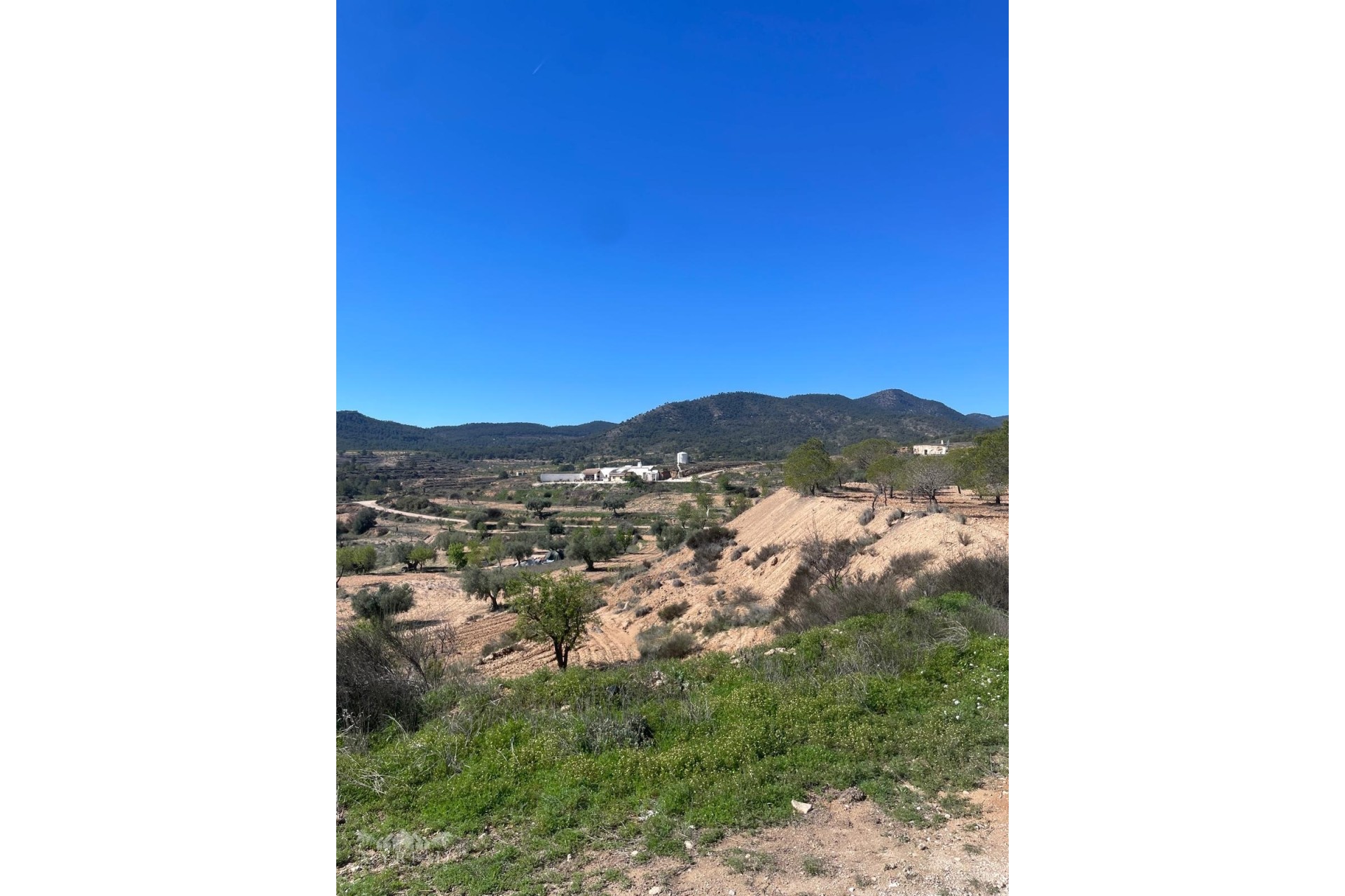 Sale - Finca Country Property -
Raspay - Raspay Murcia