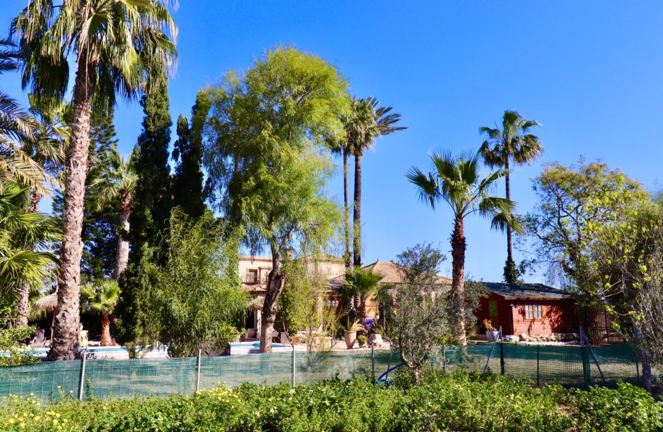 Sale - Finca Country Property -
Rojales - Heredades