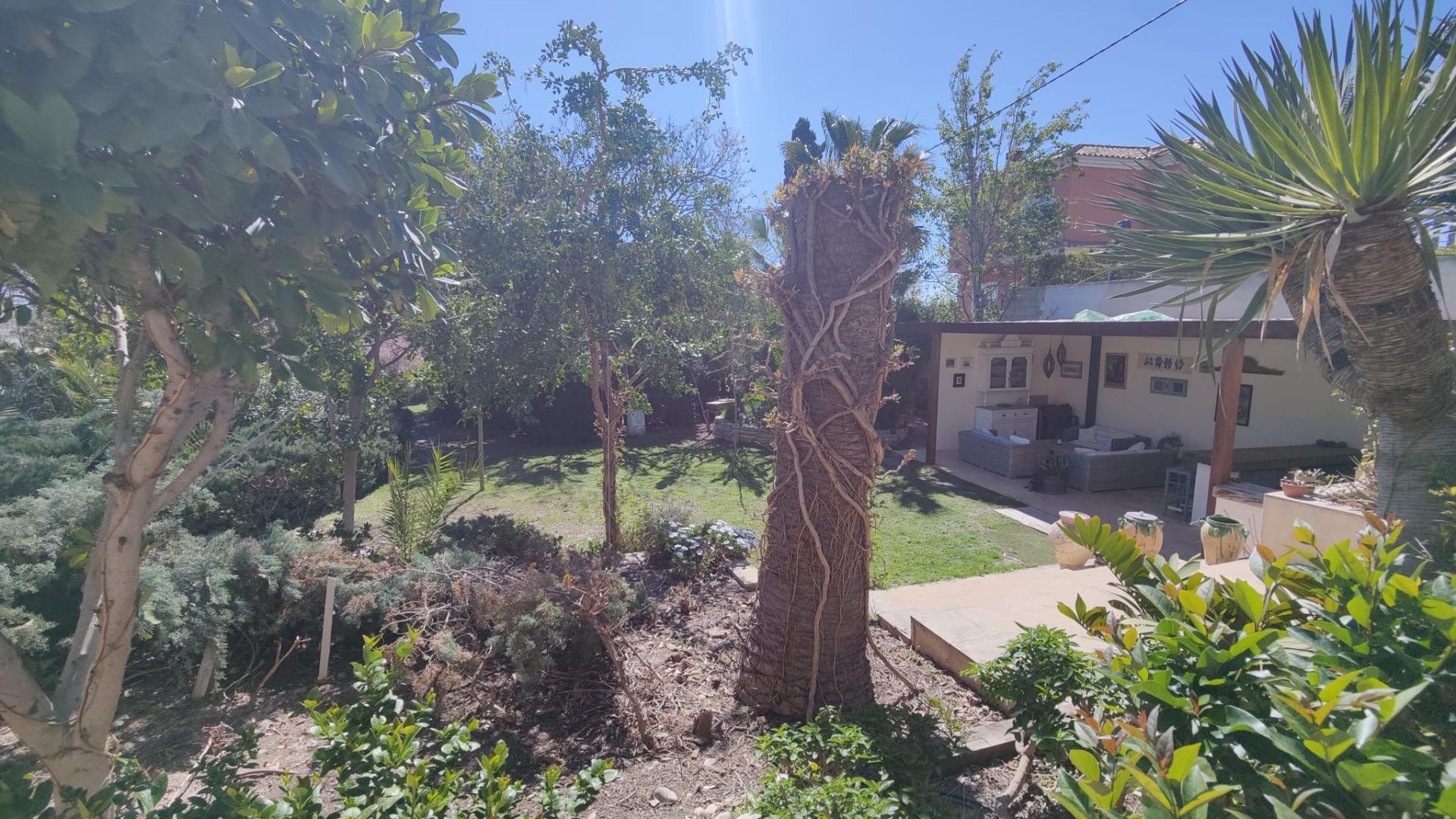 Sale - Finca Country Property -
San Juan de Alicante - SAN JUAN