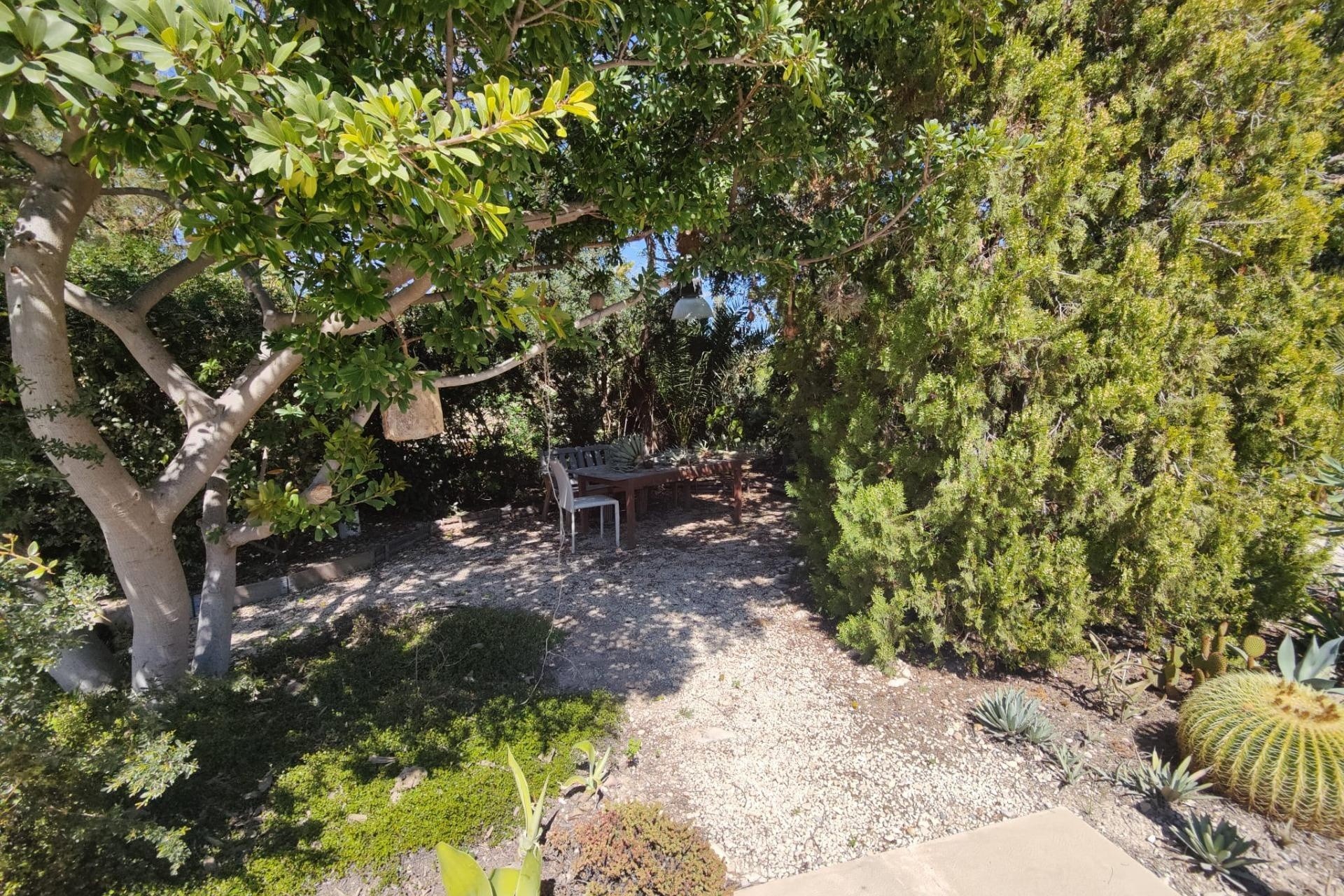 Sale - Finca Country Property -
San Juan de Alicante - SAN JUAN