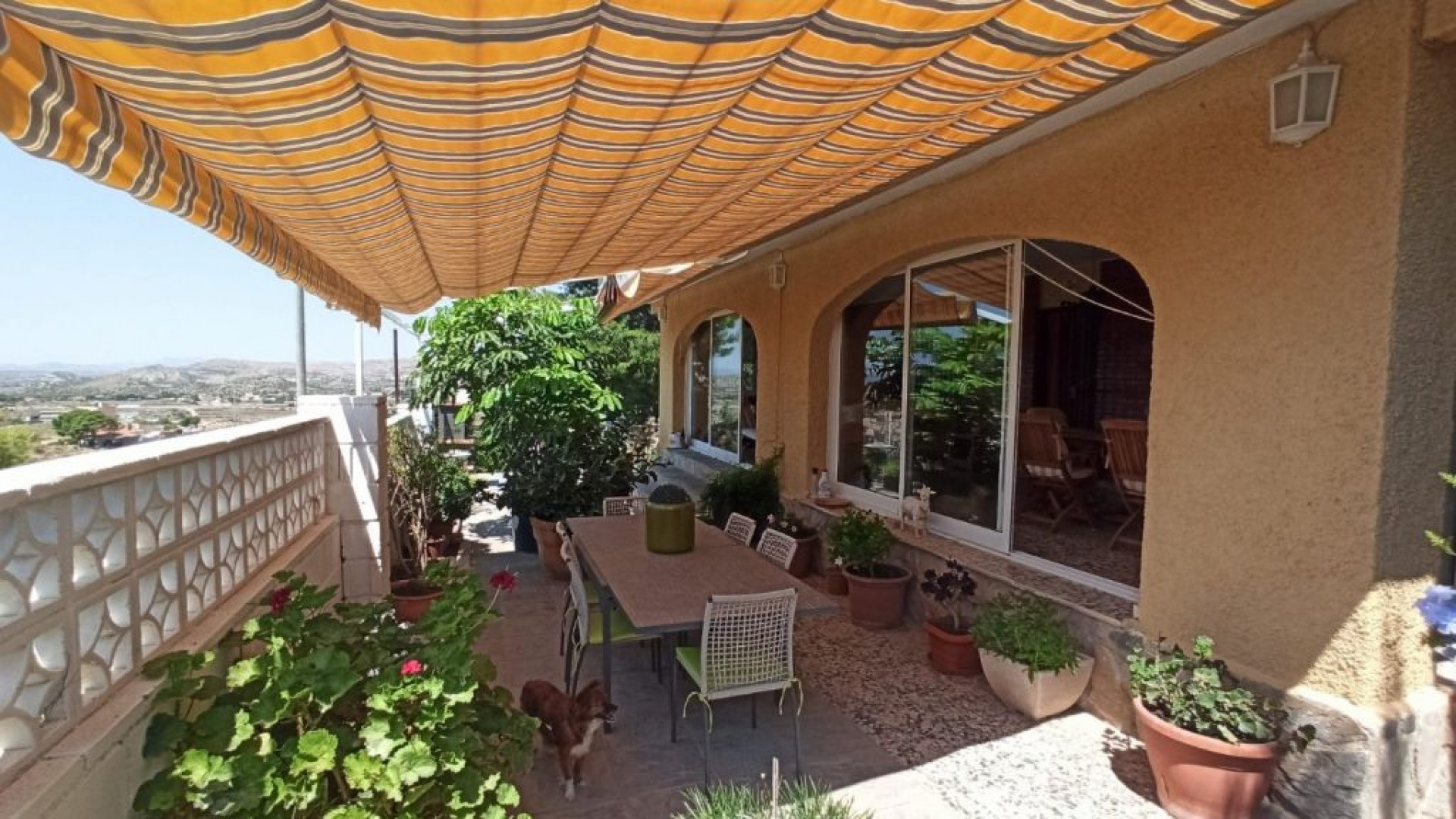 Sale - Finca Country Property -
San Vicente del Raspeig - SAN VICENT DEL RASPEIG