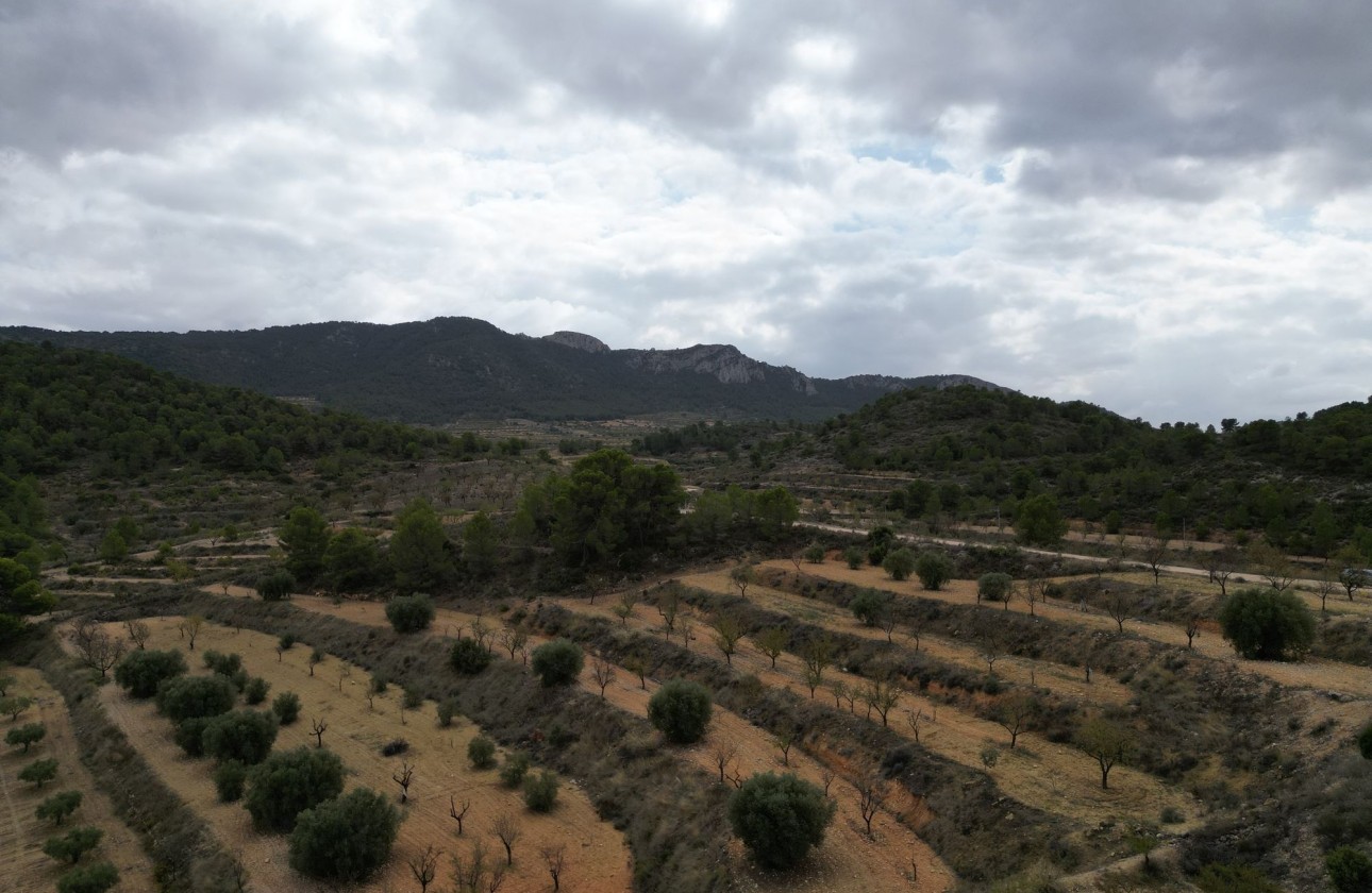 Sale - Grond -
La Zarza