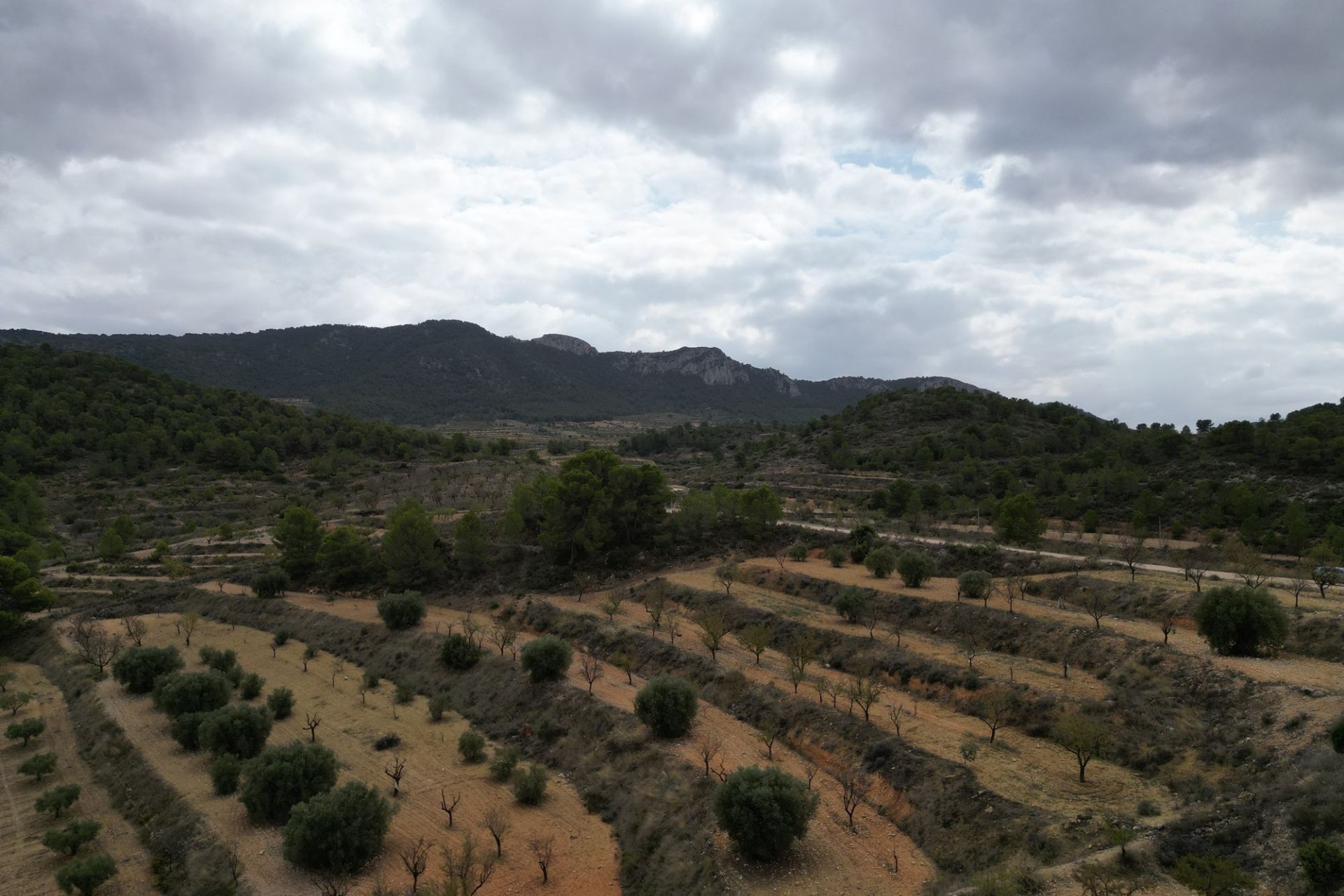 Sale - Grond -
La Zarza