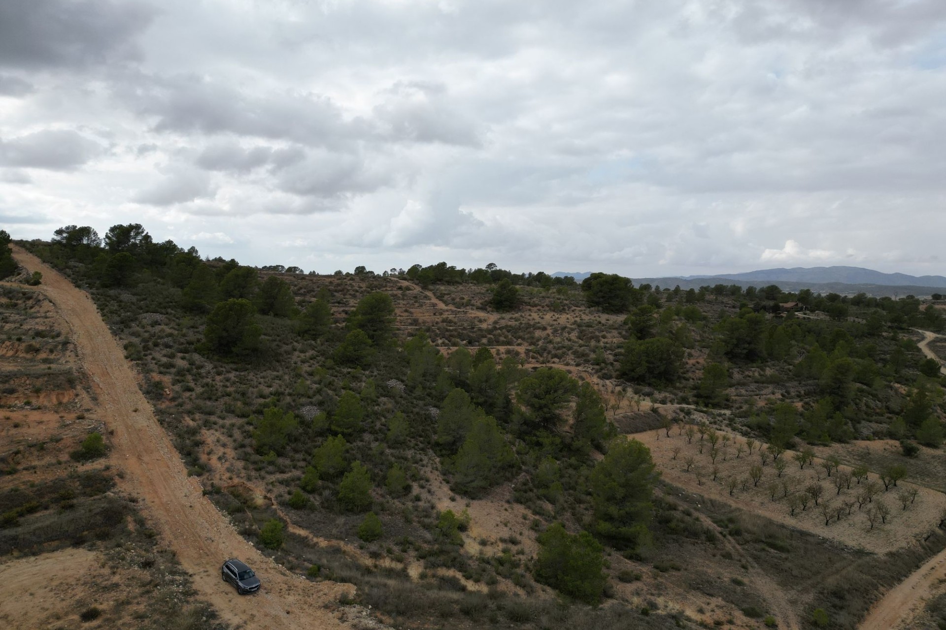 Sale - Grond -
La Zarza