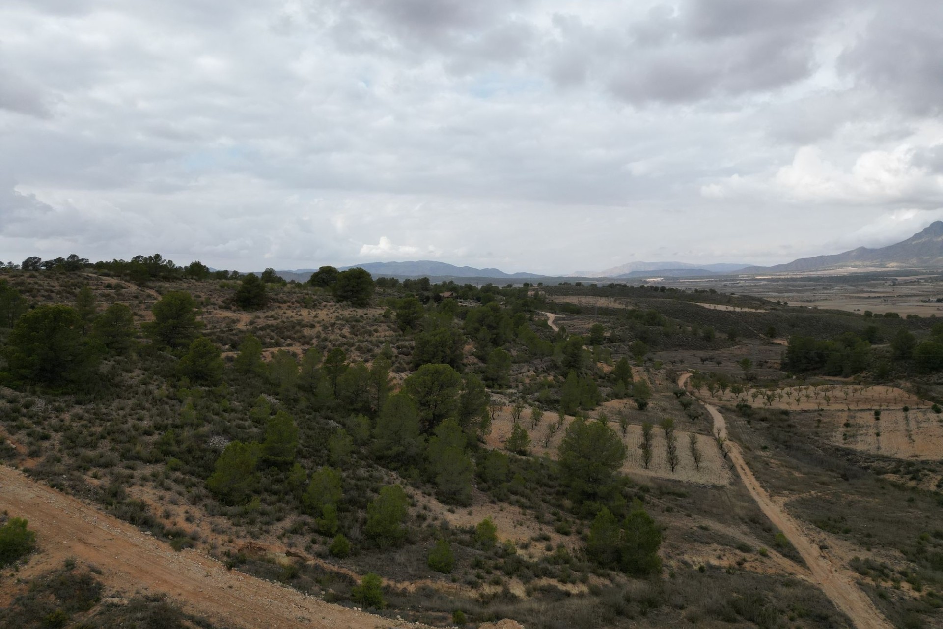 Sale - Grond -
La Zarza