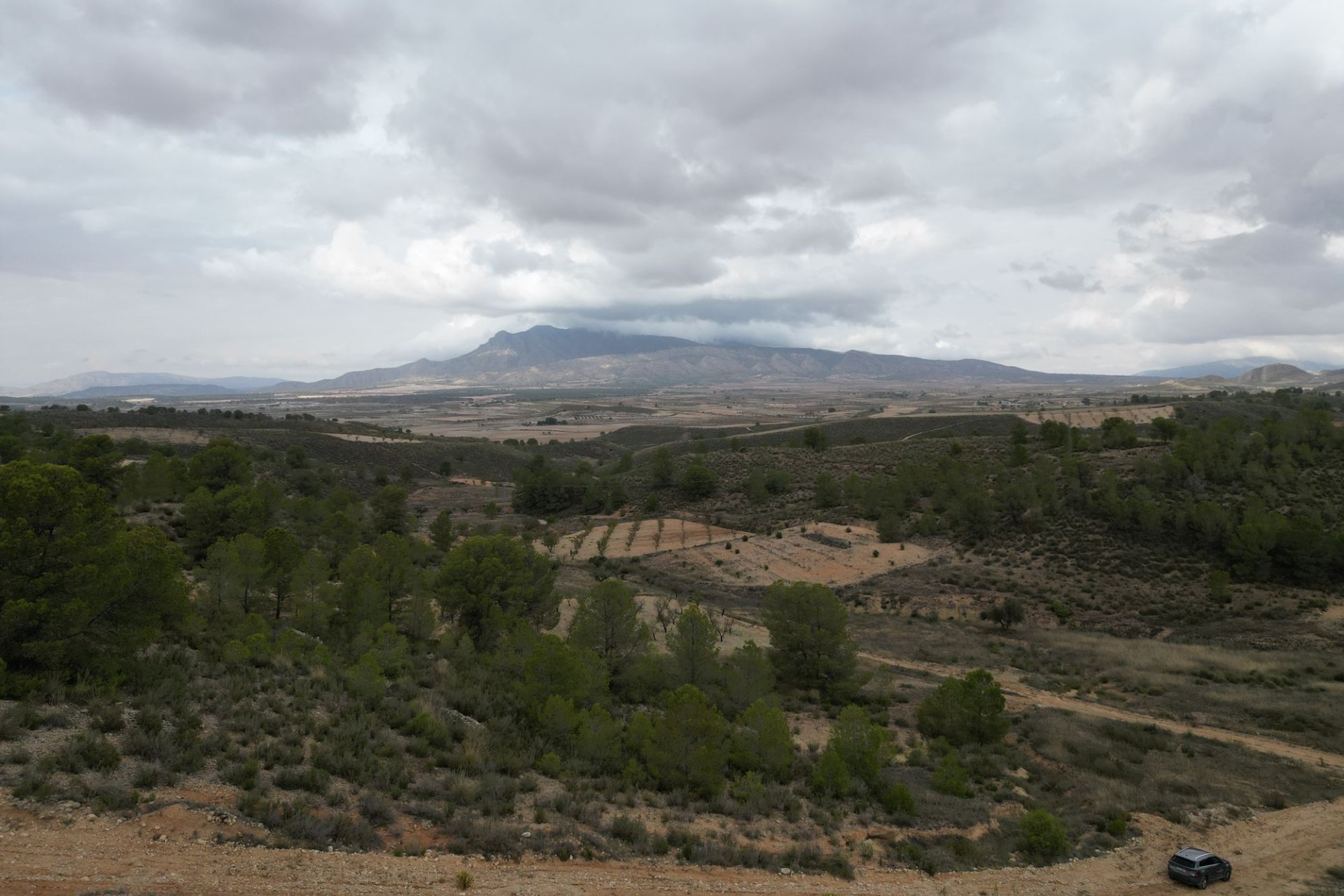 Sale - Grond -
La Zarza