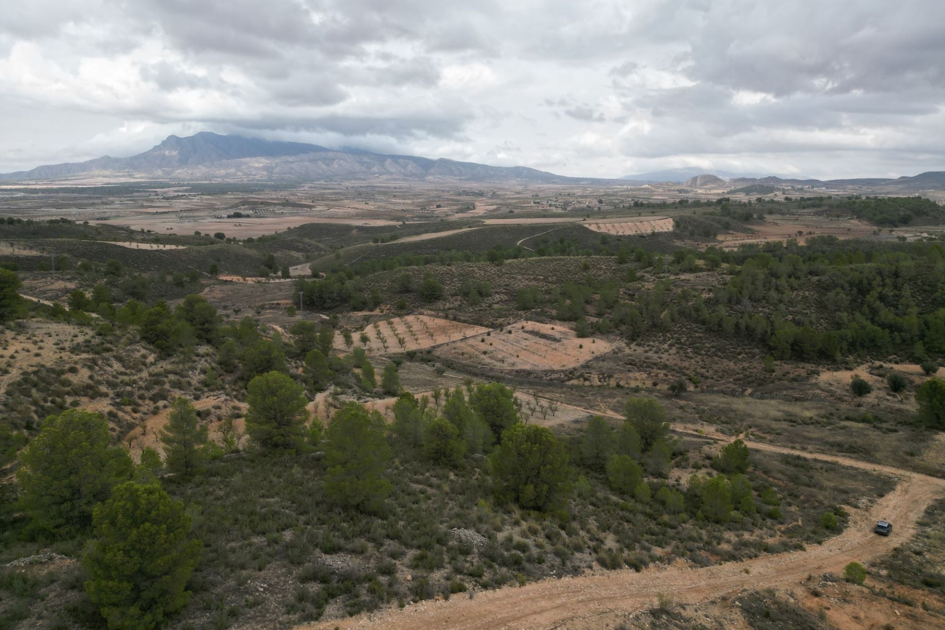 Sale - Grond -
La Zarza