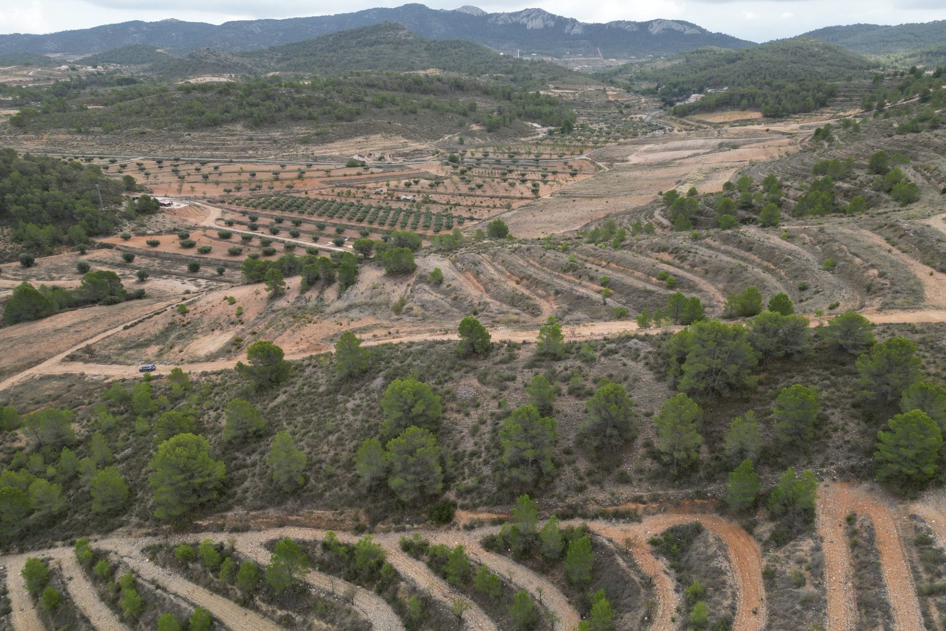 Sale - Grond -
La Zarza