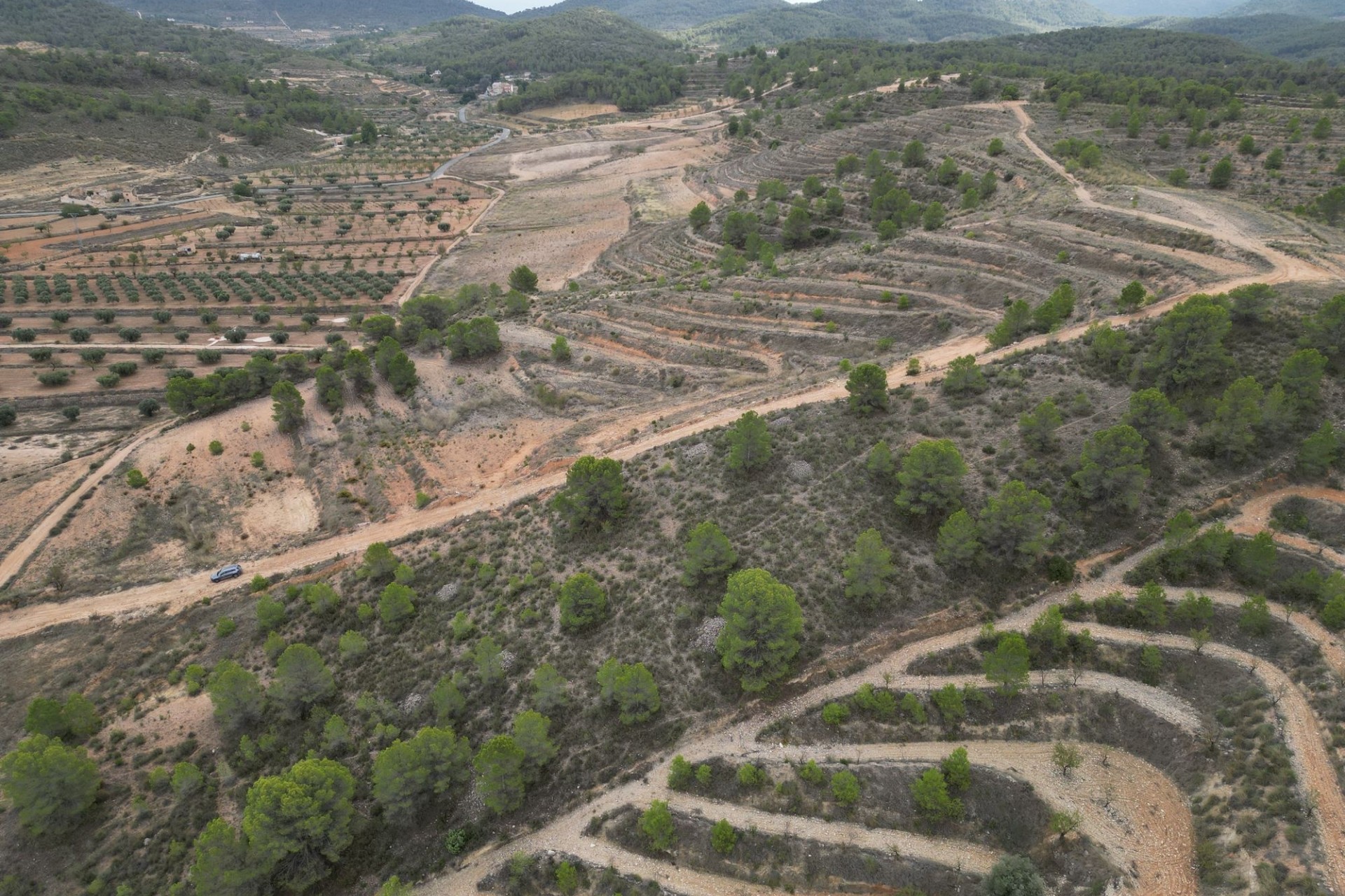 Sale - Grond -
La Zarza