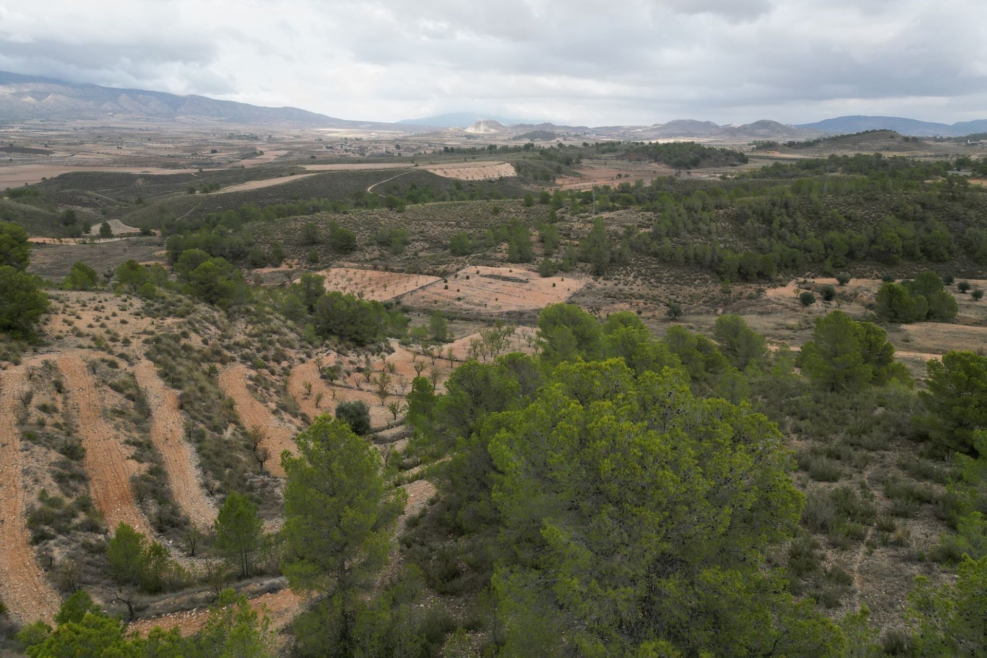 Sale - Grond -
La Zarza