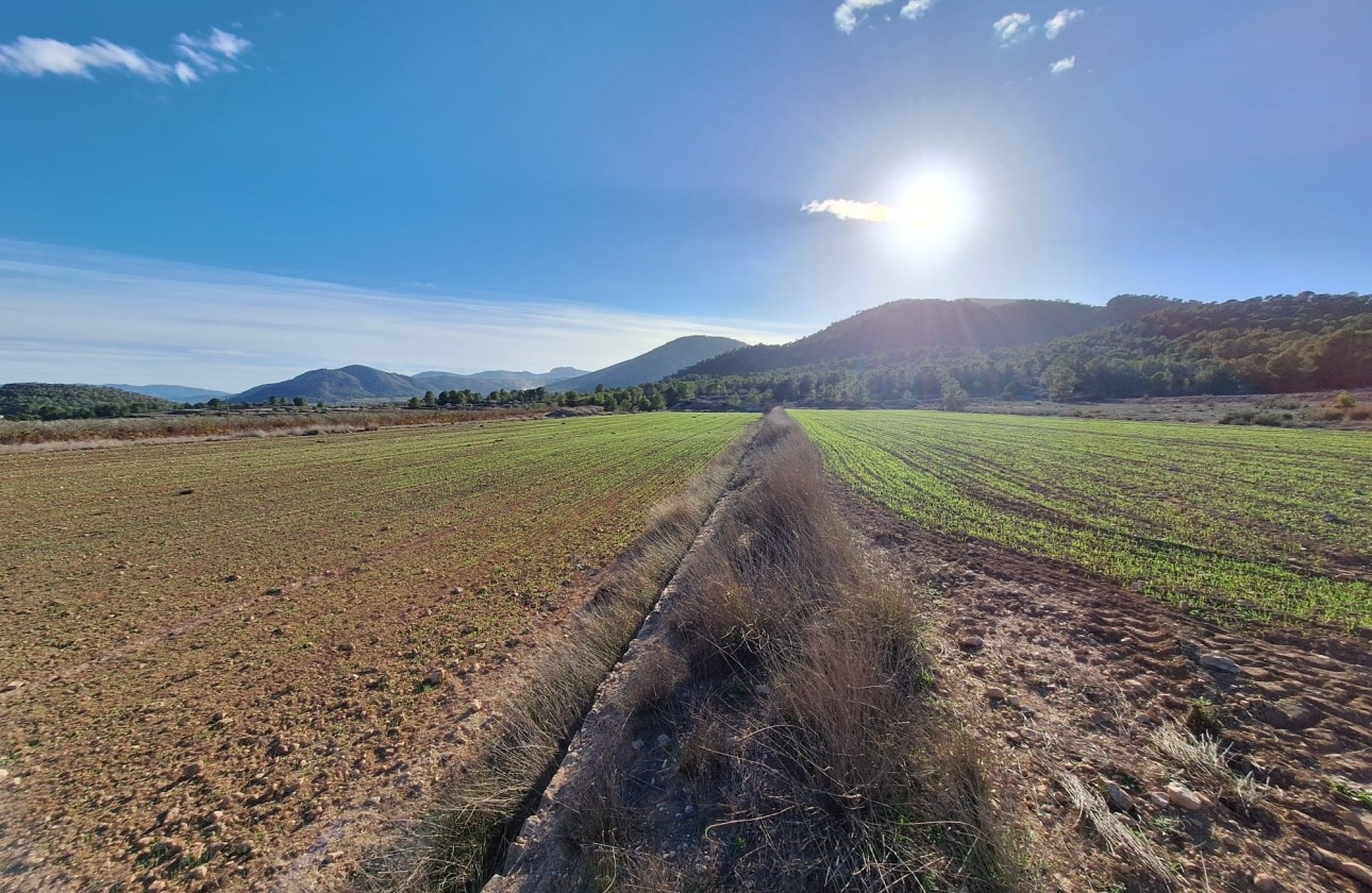 Sale - Grond -
Monovar