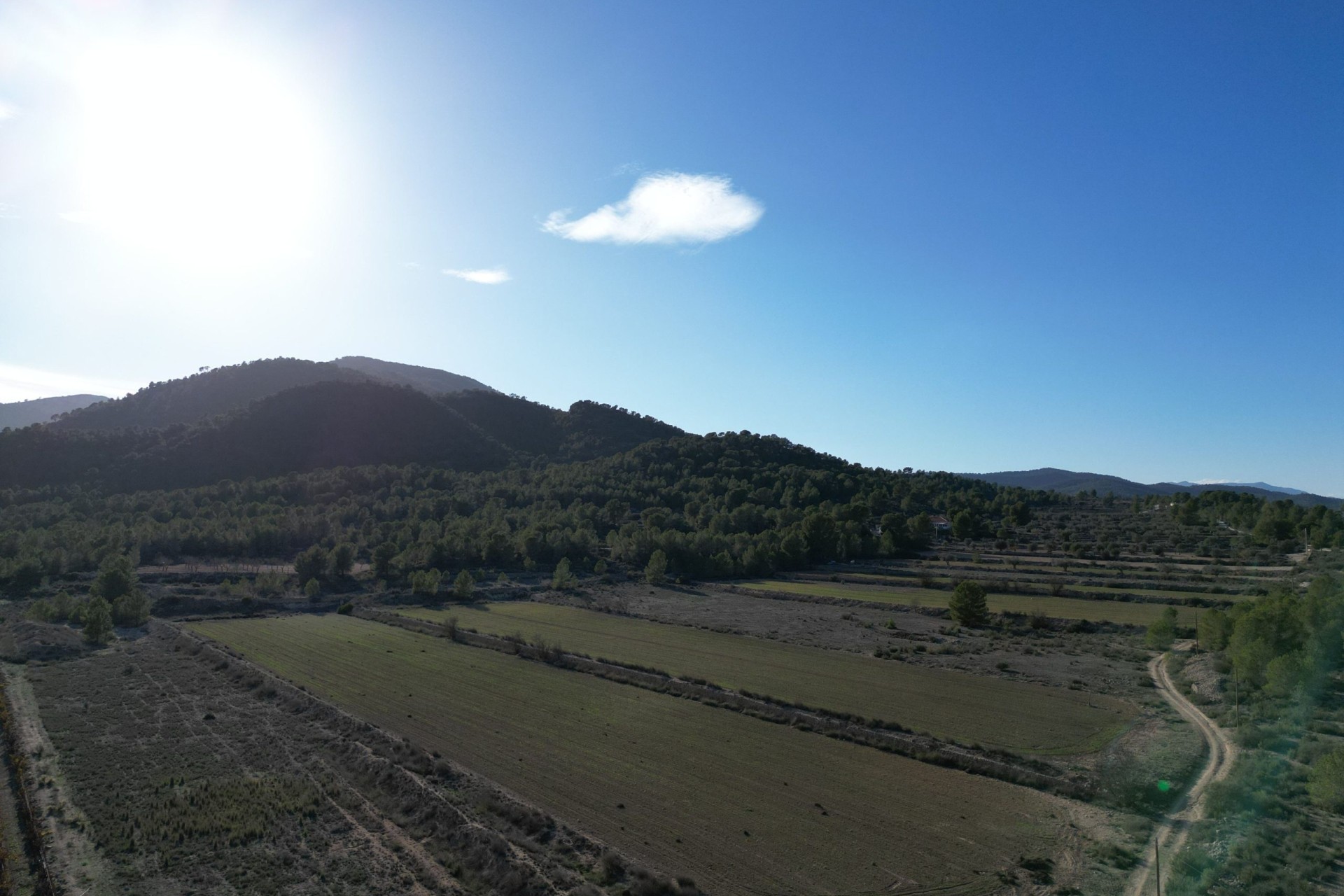 Sale - Grond -
Monovar