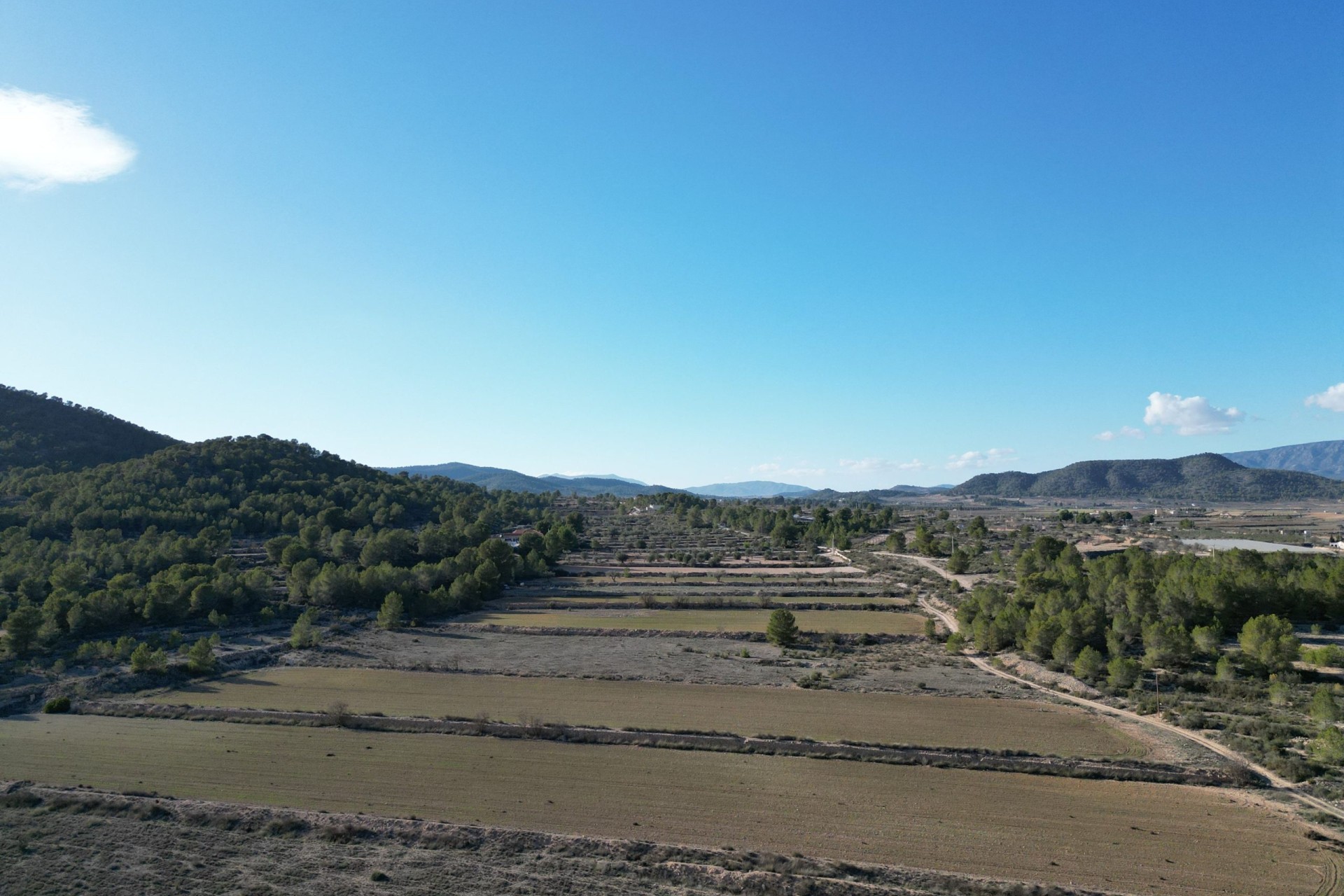 Sale - Grond -
Monovar