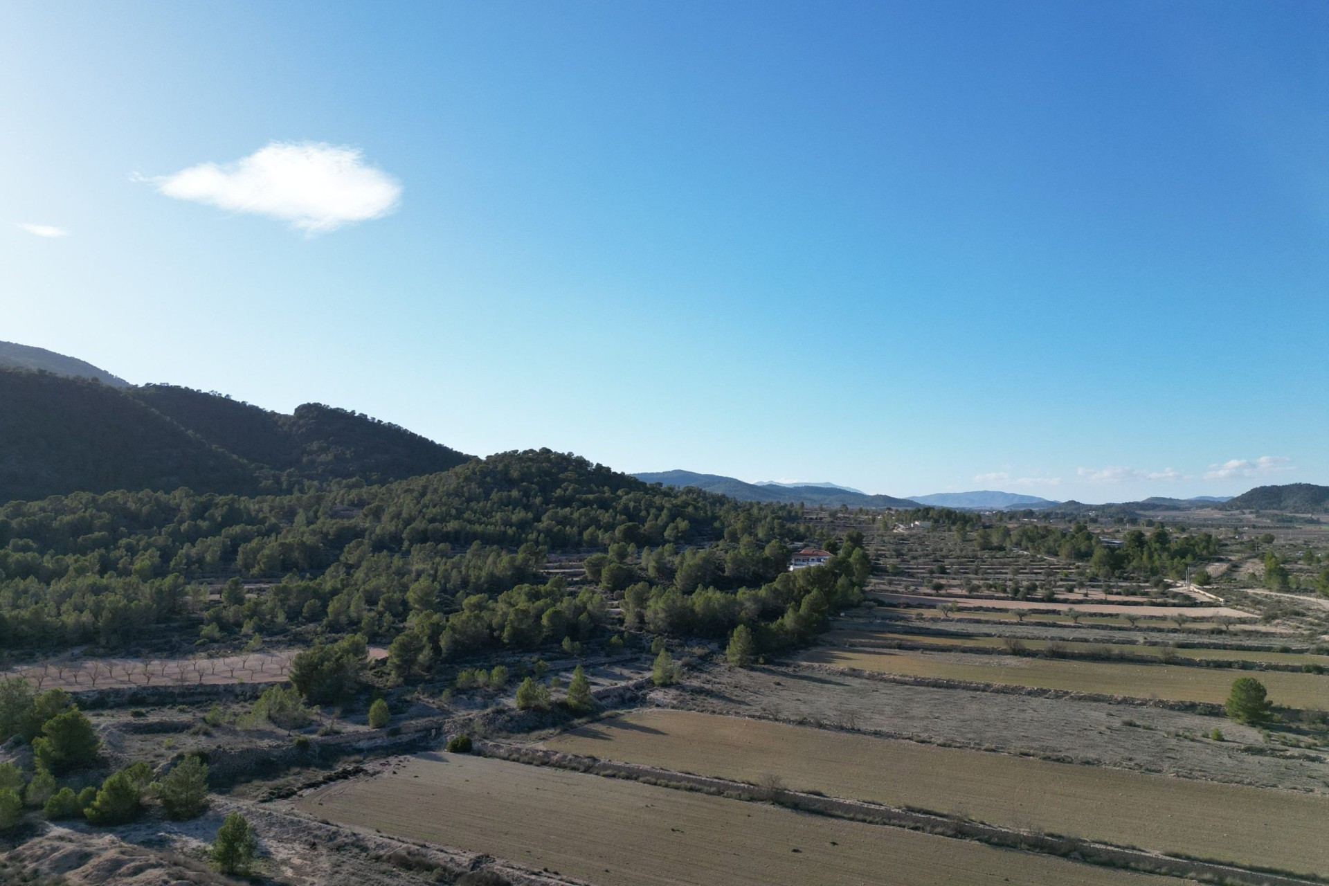 Sale - Grond -
Monovar