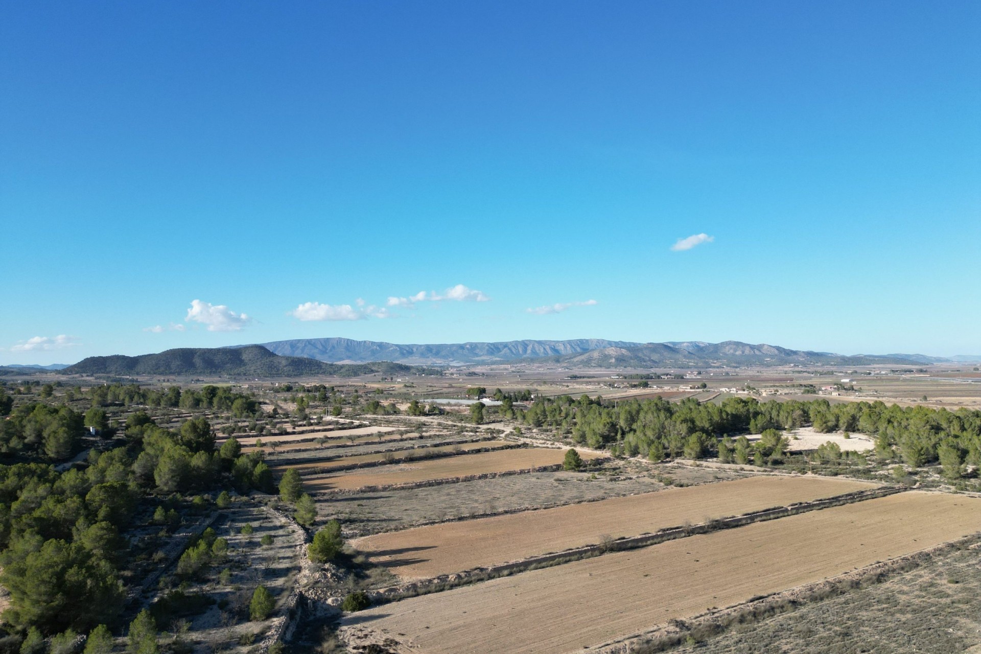 Sale - Grond -
Monovar